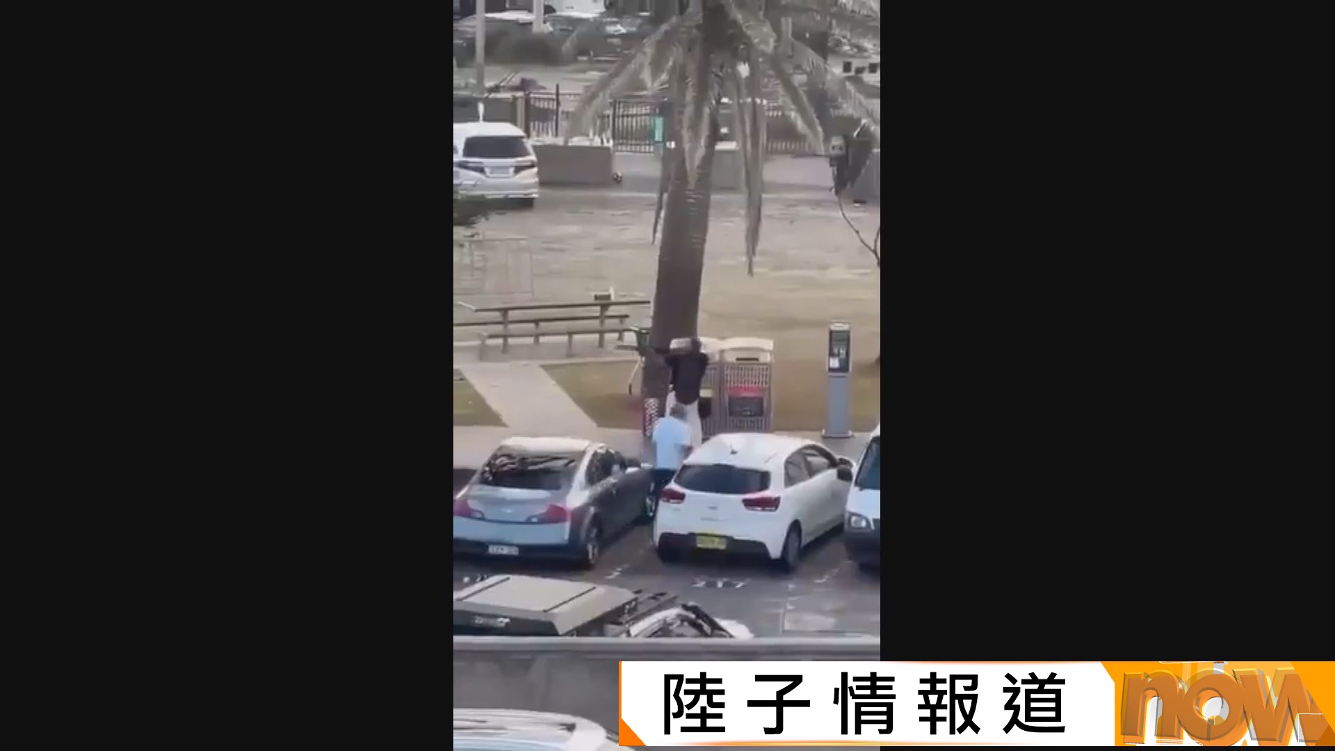 悉尼邦迪海灘槍擊據報至少10死多傷　警方相信襲擊策劃多月　針對猶太教節慶活動