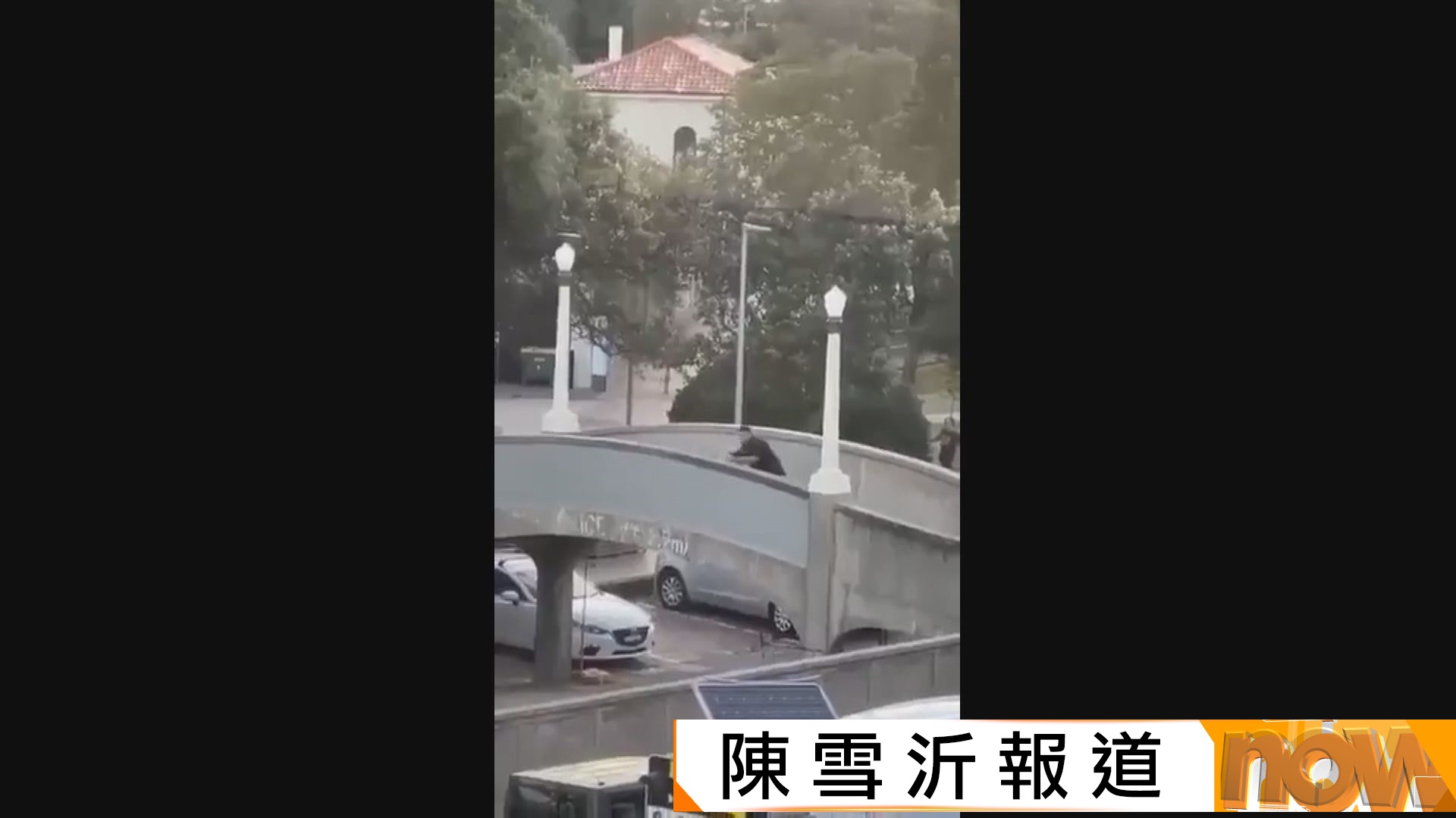 悉尼邦迪海灘槍擊｜至少12死包括一槍手　警方指屬針對猶太人恐襲