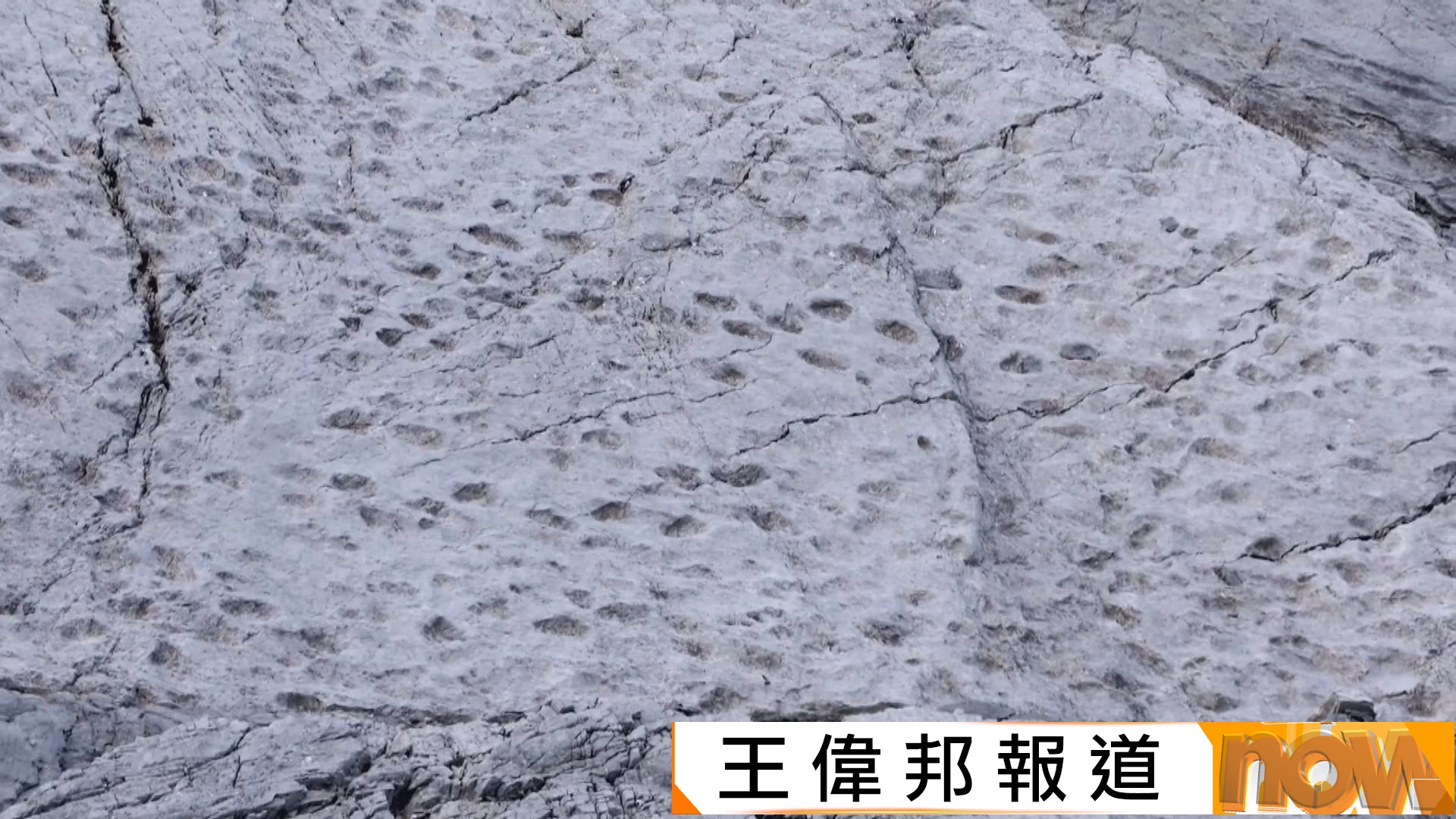 意大利考古重大發現　阿爾卑斯山國家公園發現約2萬個三疊紀恐龍足印