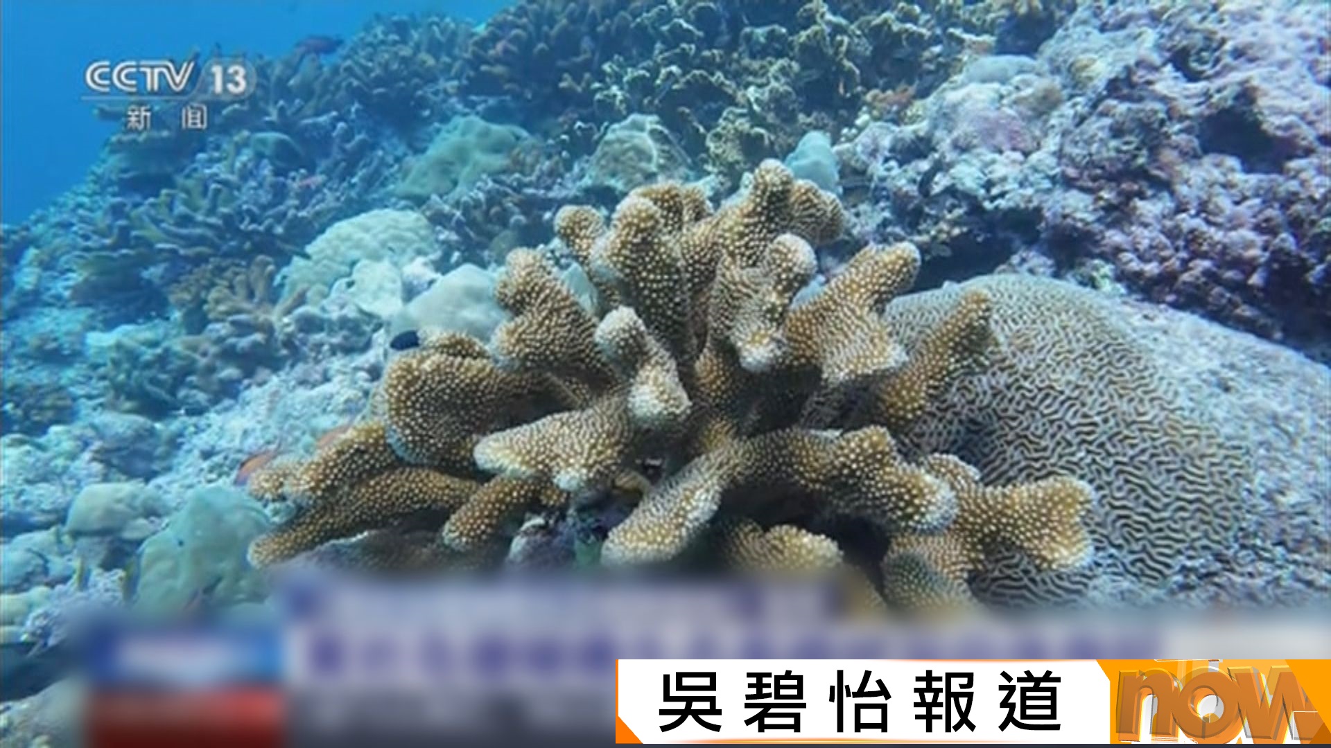 內地調查黃岩島珊瑚礁生態　暗示有關國家軍事活動造成破壞
