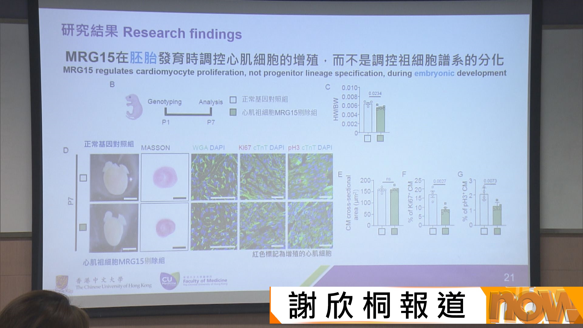 中大醫學院全球首次發現一種免疫細胞使心臟再生　有望減少心臟病死亡率