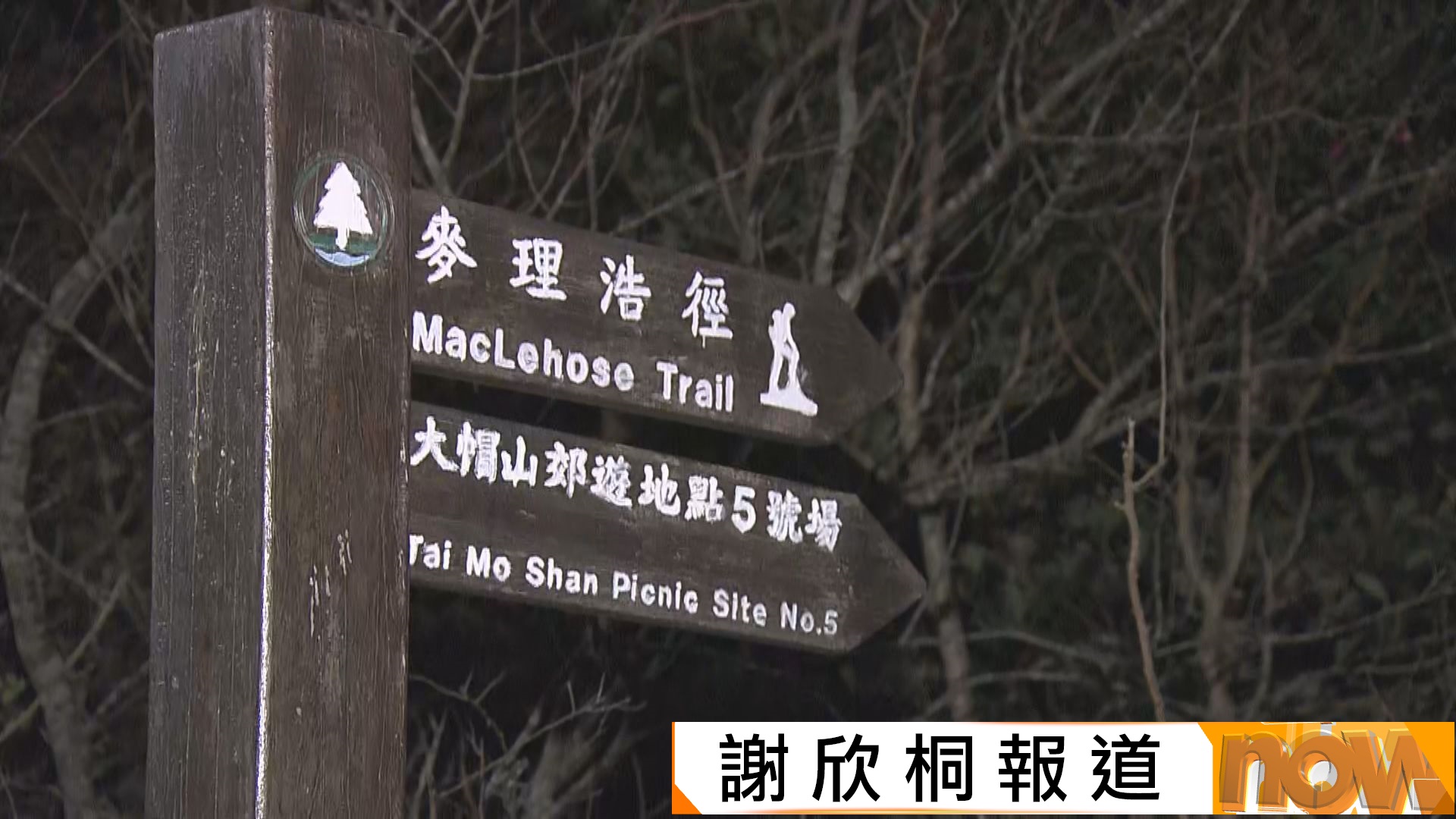 天氣｜大帽山今早最低錄得5.5度　天文台料下周初氣溫逐步回升