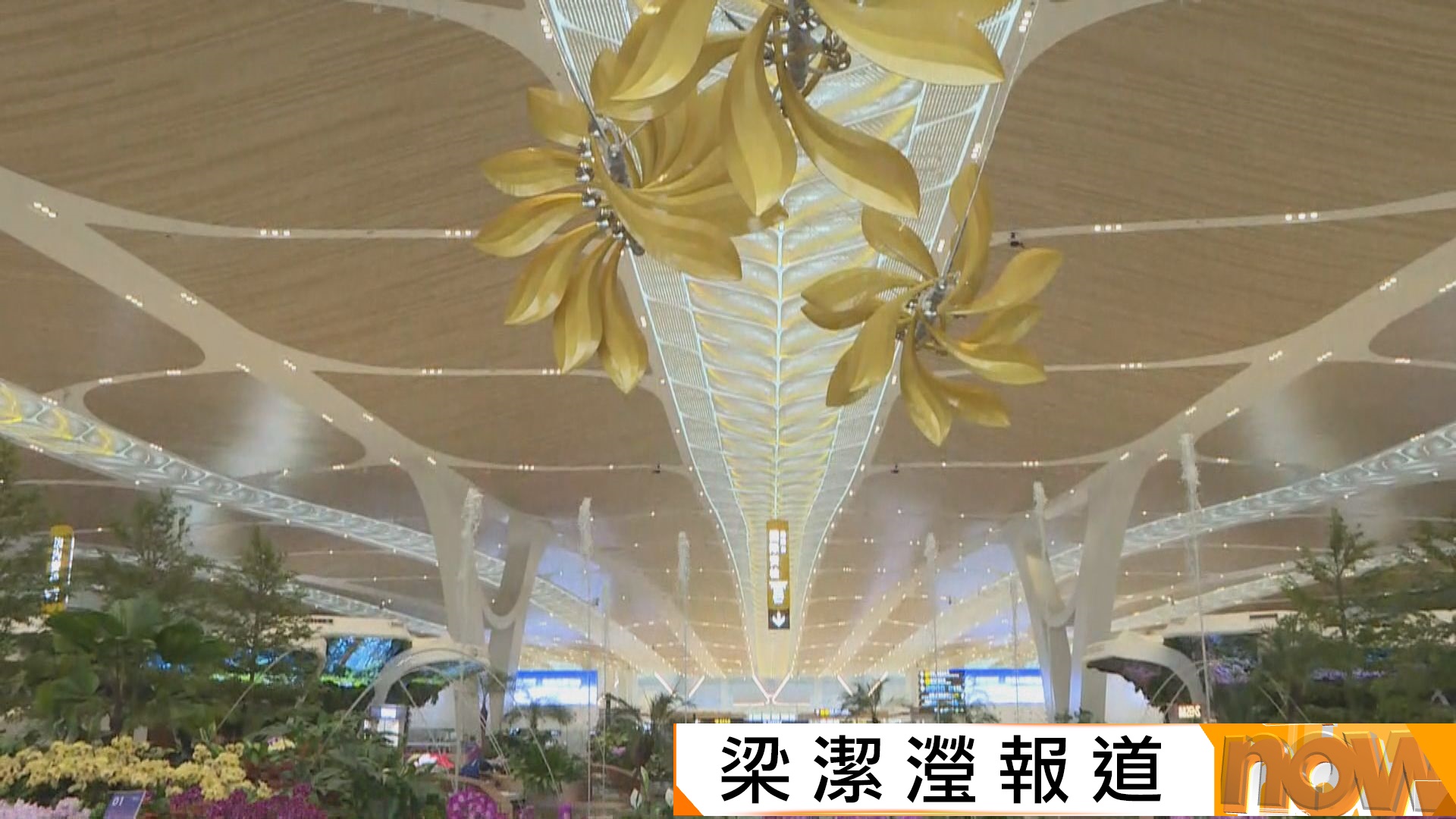 廣州白雲機場T3航廈國際業務全面開啟