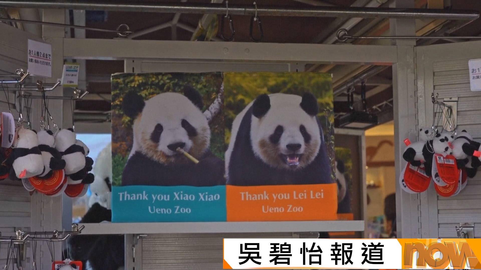 東京上野動物園大熊貓曉曉及蕾蕾回中國前最後一天開放參觀　抽籤超額24.6倍