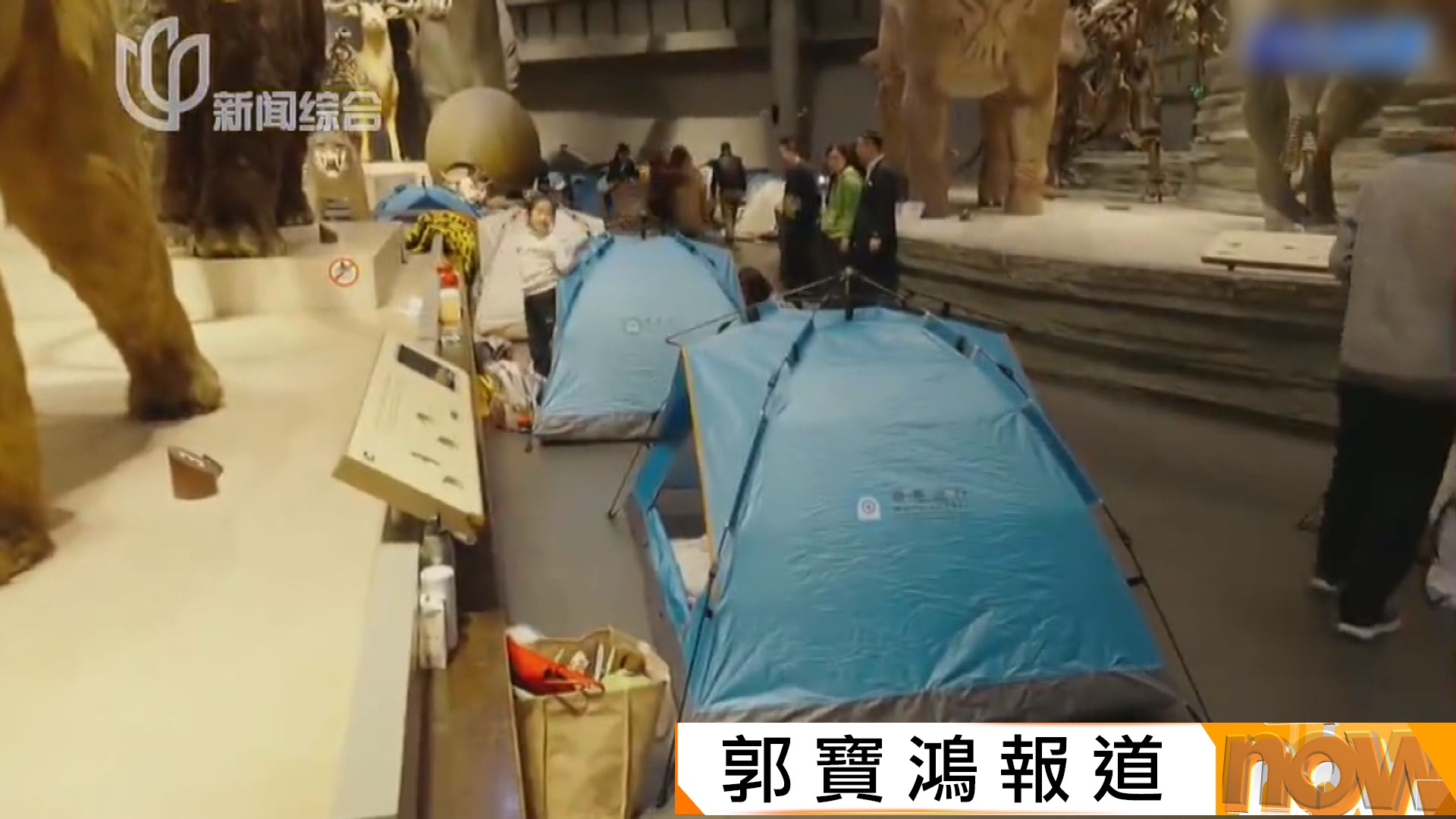 翻生侏羅館？｜上海自然博物館推「夜遊」留宿一宵　紮營共度奇妙夜