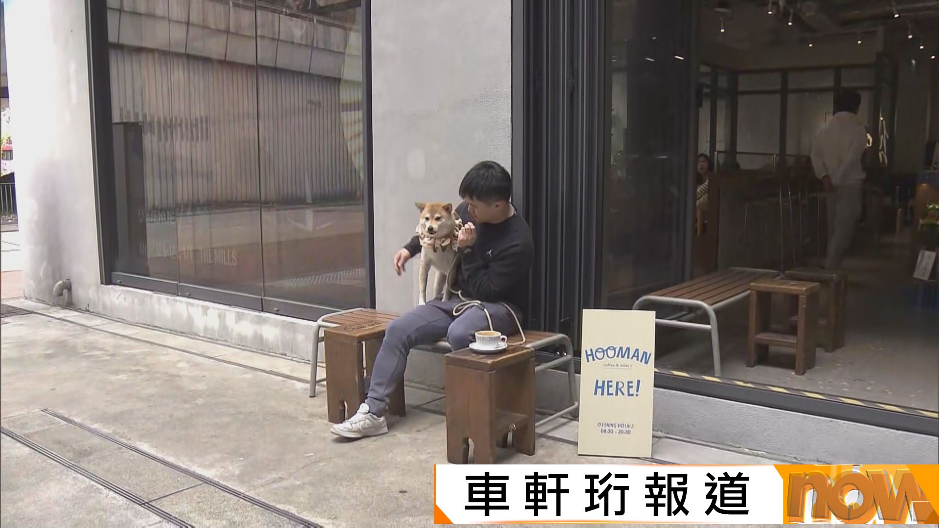 狗隻友善食肆｜有食肆歡迎新例　惟憂執行細節與客易生爭執