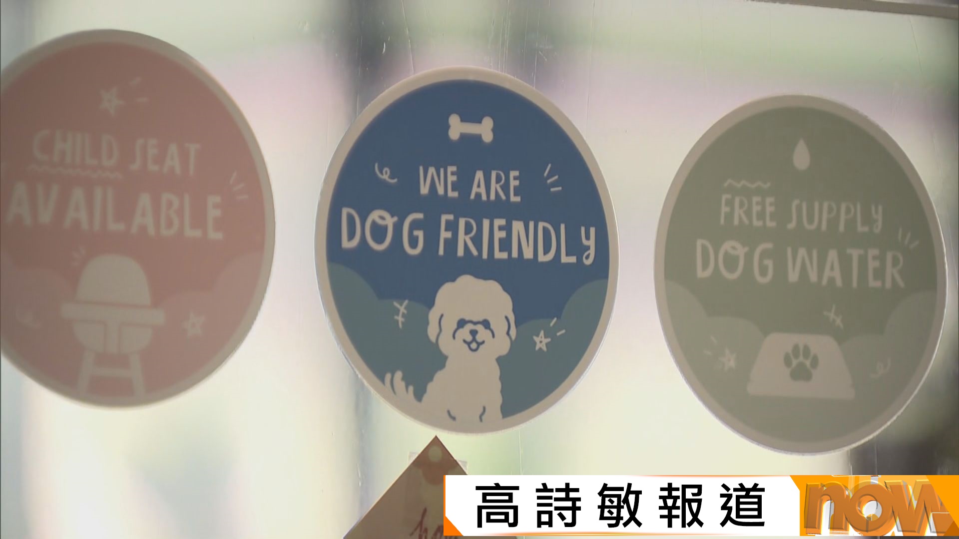 狗隻友善食肆｜有食肆歡迎新例　惟憂執行細節與客易生摩擦