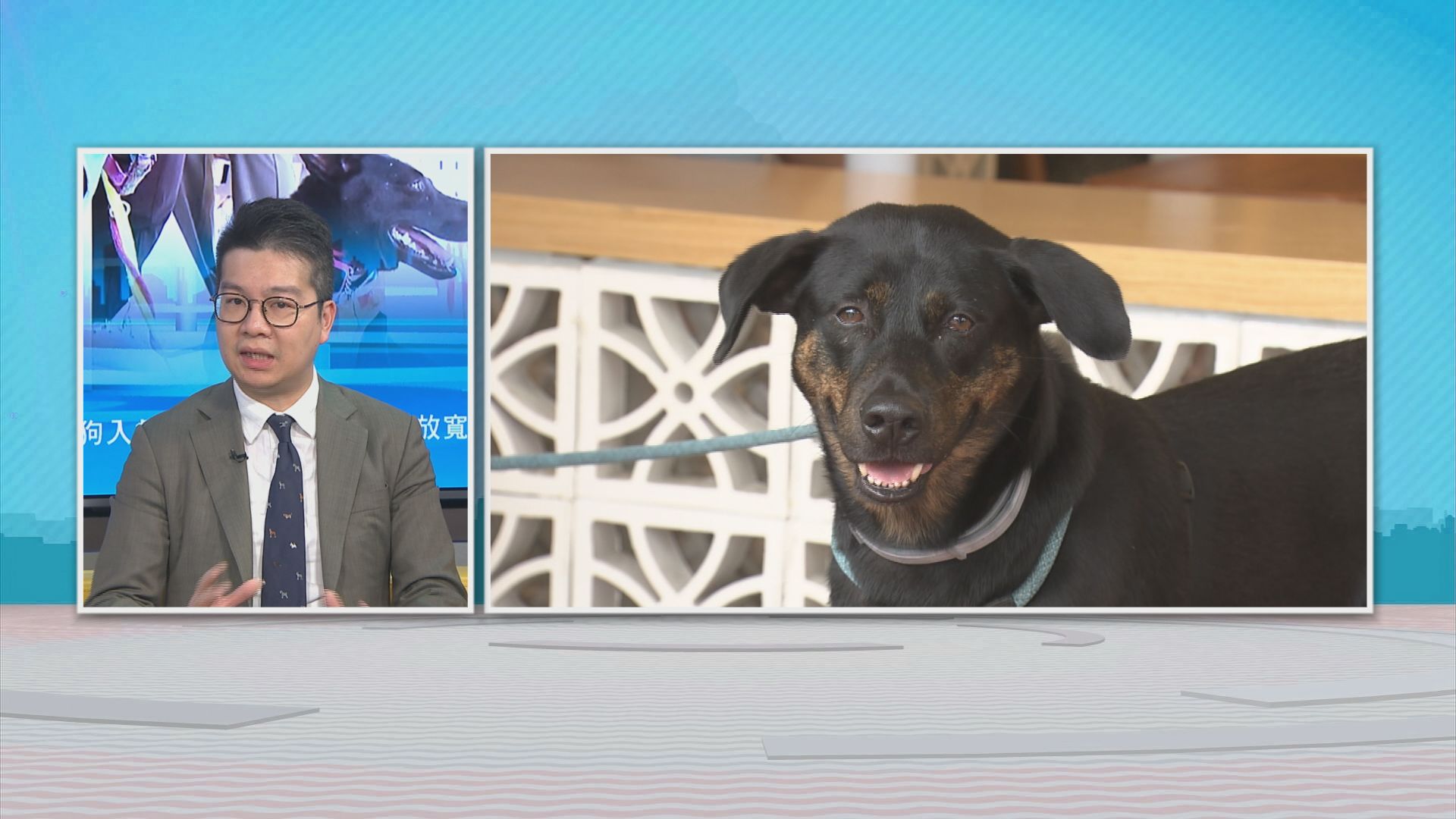 時事全方位｜放寬狗入餐廳(二)