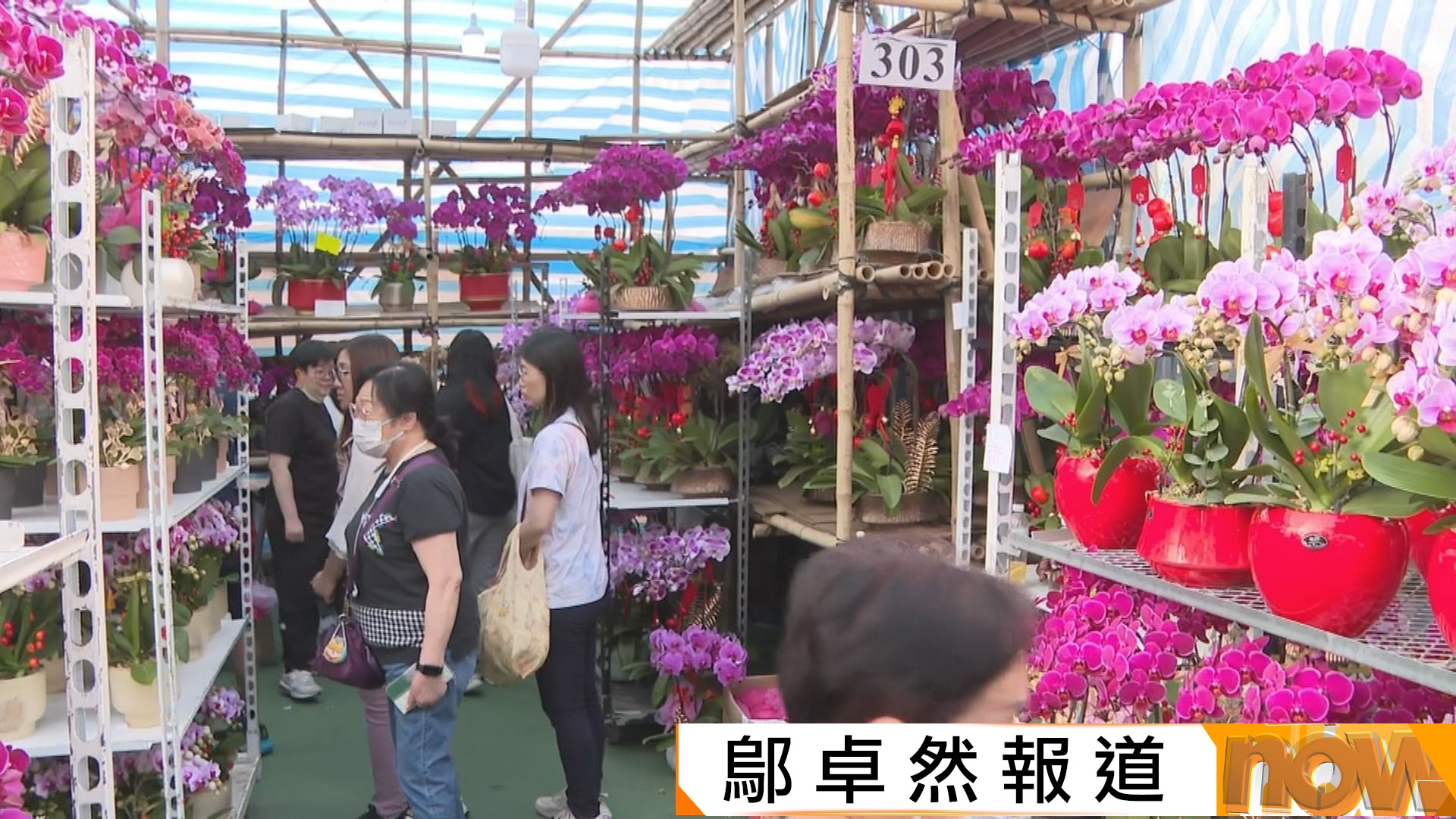 喜迎馬年｜維園年宵通宵開放　大批市民入場「掃平貨」