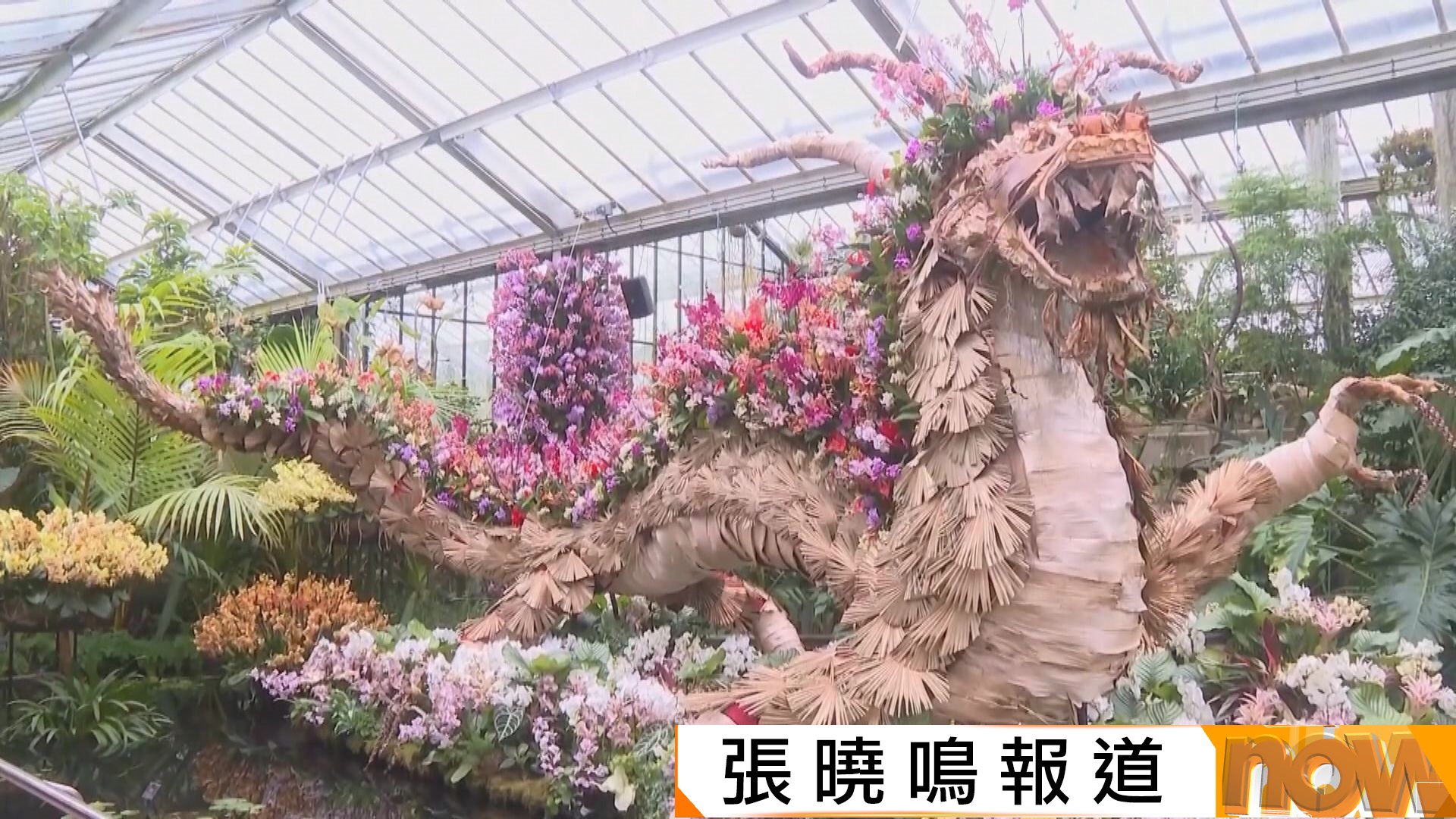 蘭花展｜英國邱園蘭花節以中國為主題　美國紐約植物園將蘭花融入都市面貌