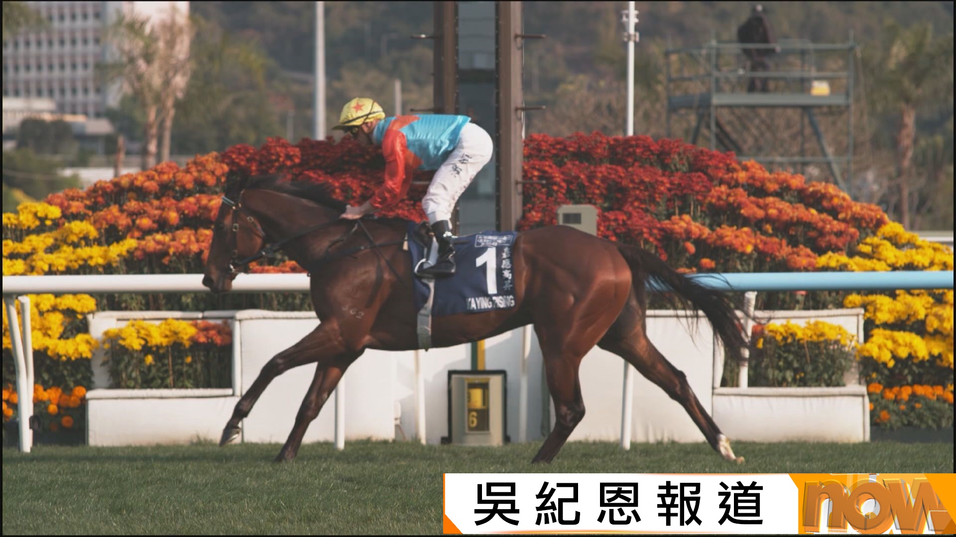 馬王「嘉應高昇」衛冕女皇銀禧紀念盃　18連勝超越「精英大師」