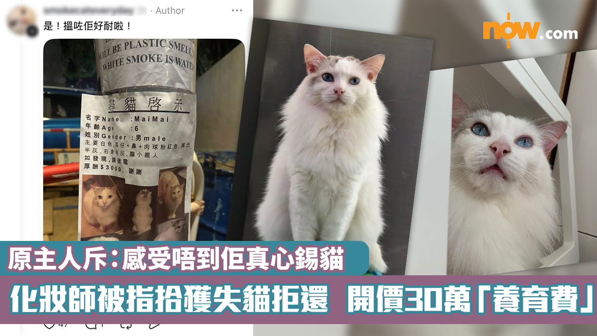 熱話｜化妝師被指拾獲失貓拒還　開價30萬「養育費」　原主人斥：感受唔到佢真心錫貓