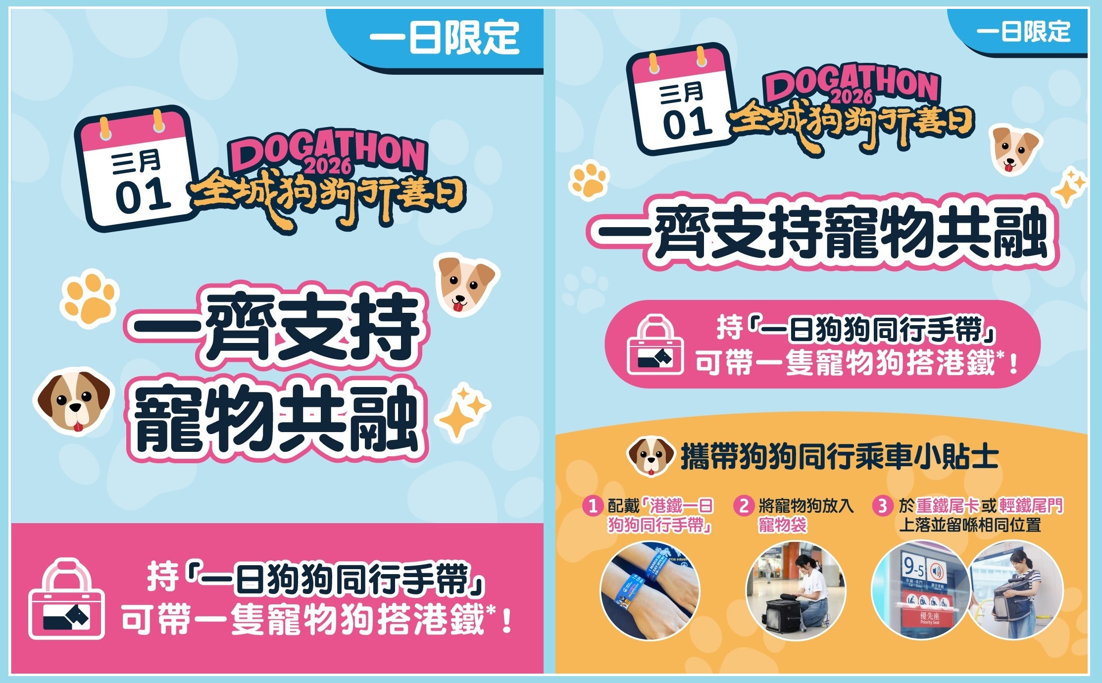 全城狗狗行善日｜港鐵周日提供1200名額　每名飼主可攜一隻寵物乘指定車卡出遊（附活動詳情）