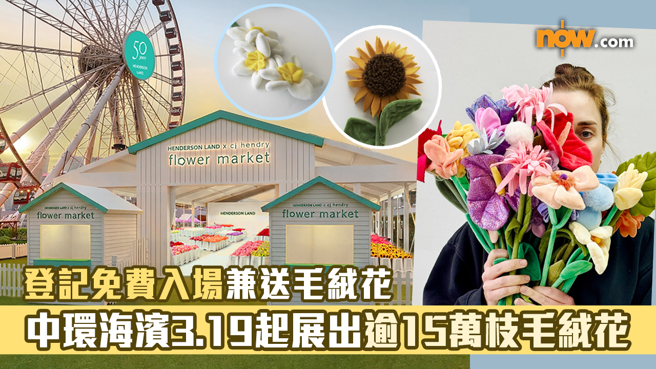 假日好去處｜中環海濱3.19起展出逾15萬枝毛絨花　送毛絨花登記免費入場