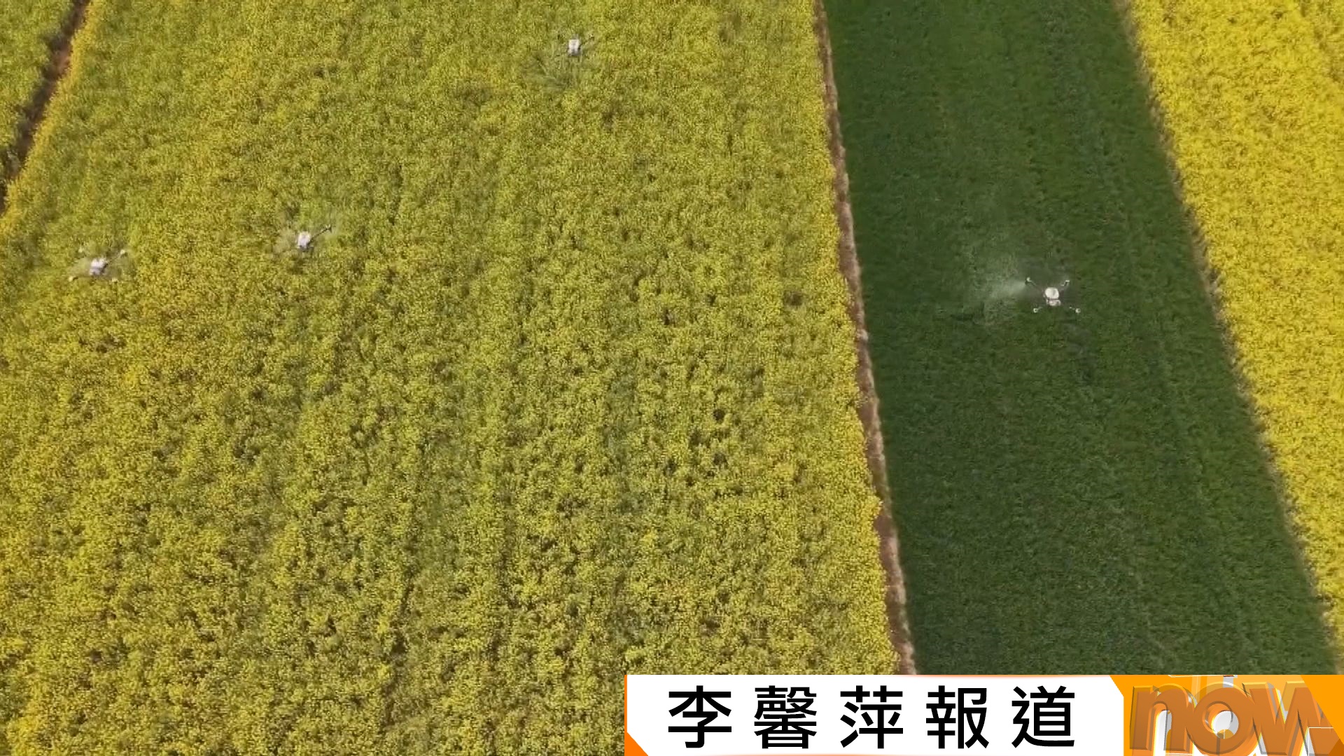 全國兩會｜堅持「三農」工作為重中之重　嚴守耕地紅線　全面振興鄉村