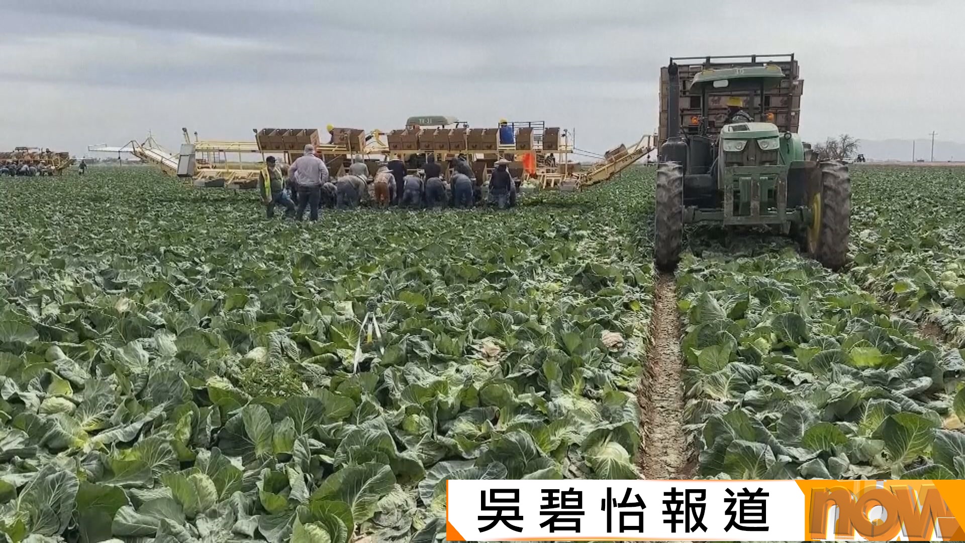 美以伊戰爭｜伊朗局勢波及全球肥料供應　白宮經濟顧問指正尋找其他來源