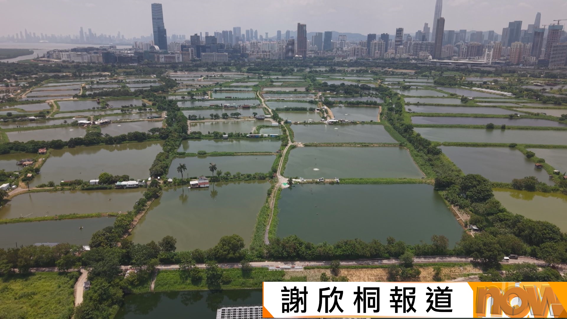 北都專屬法例｜發展局：視乎濕地緩衝區的法定土地用途決定能否簡化程序　林筱魯建議結合科技善用保育用地