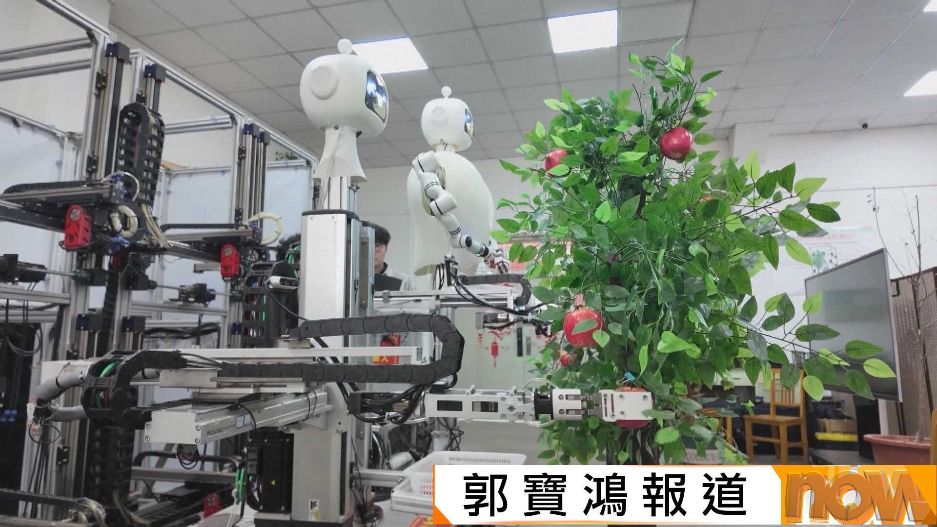 內地研發蘋果採摘機械人　平均7.5秒可摘一個蘋果