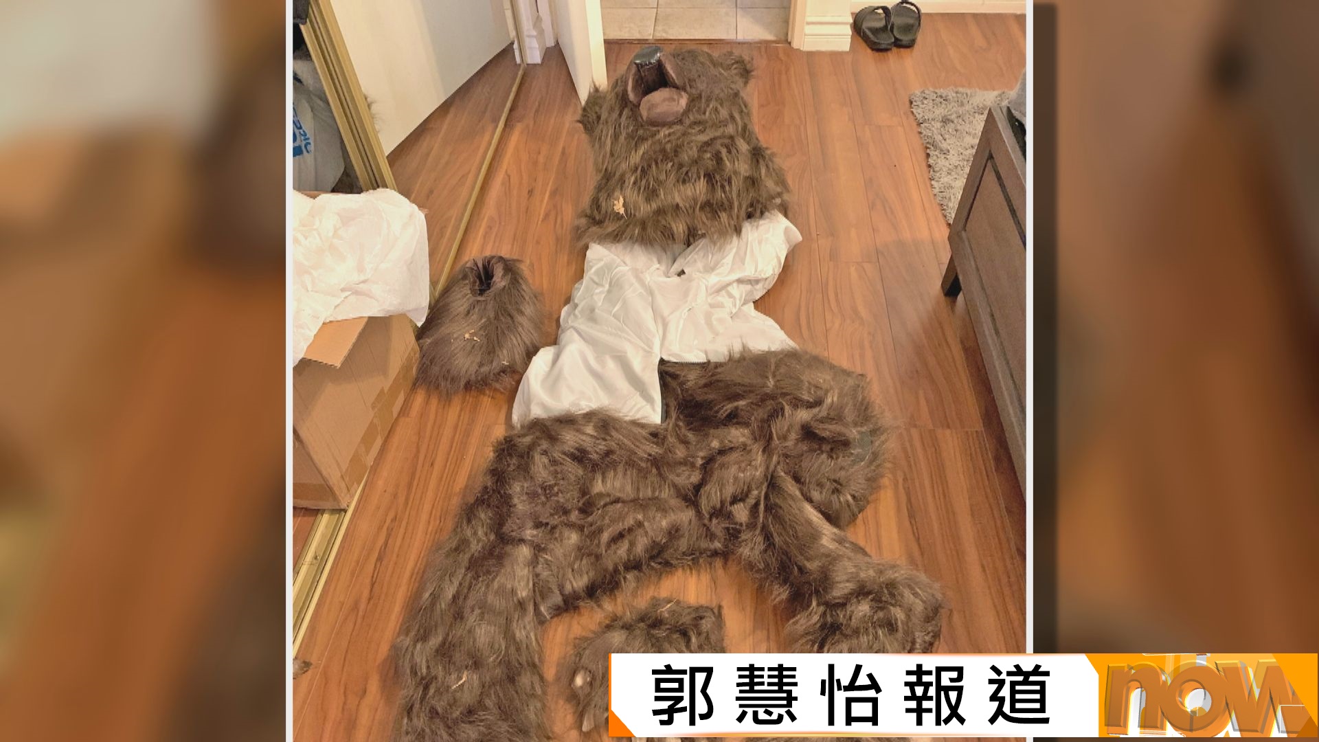 美國南加州「人扮熊」毀名車騙逾14萬美元保險金　三被告判囚180天並需賠償