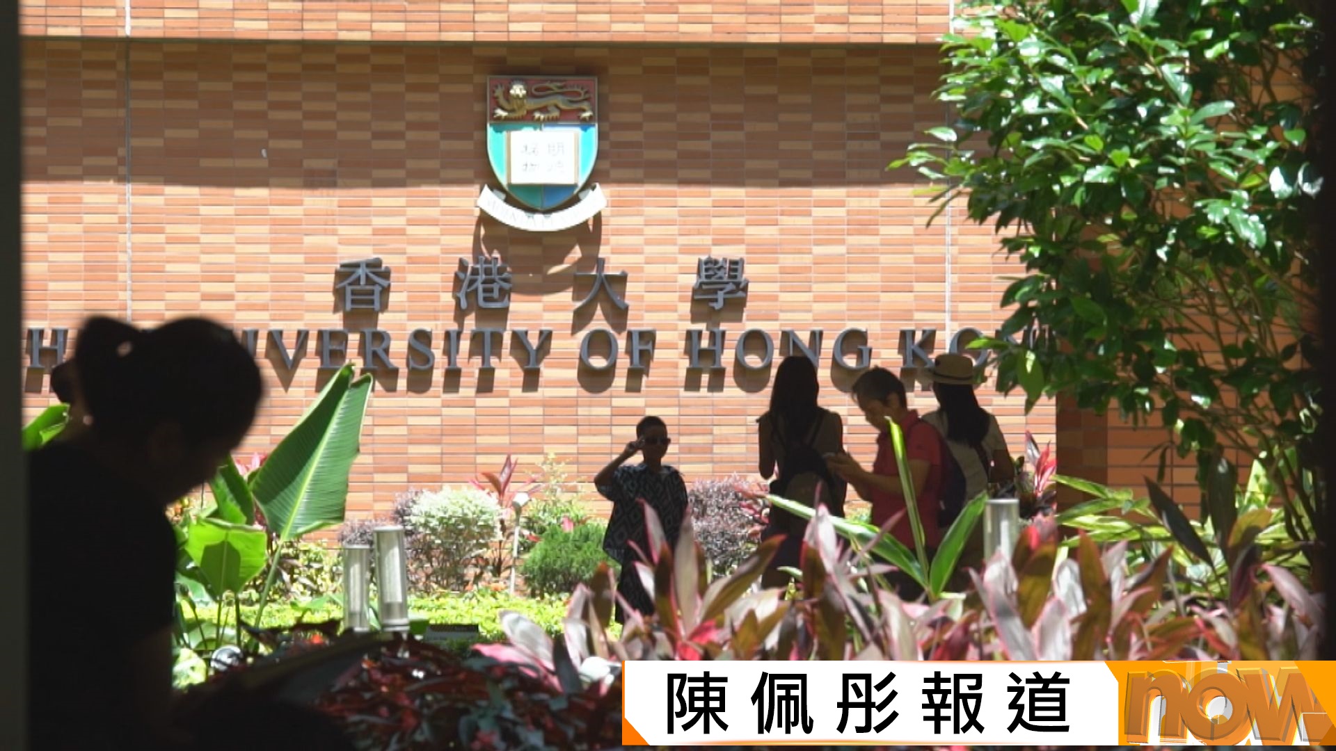 大學生全職空缺去年約3萬多個　行政IT等初階職位數年間跌至少八成