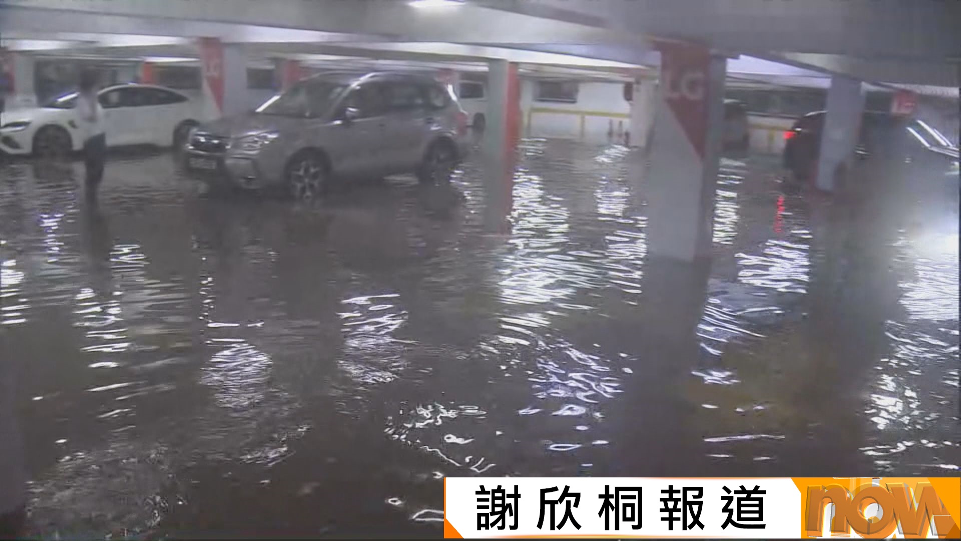 新界北區凌晨持續暴雨致多處水浸　早上多區錄逾50毫米雨量