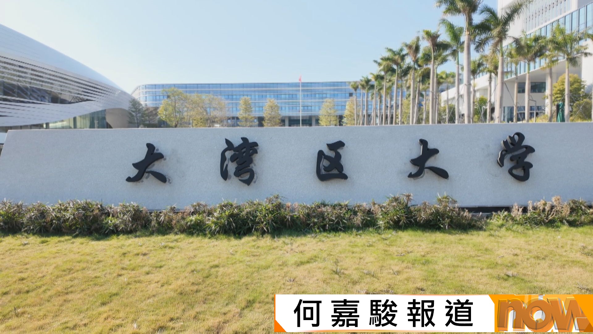 雲端對談｜大灣區大學已獲批向港澳招生　期望帶動區內高等教育發展