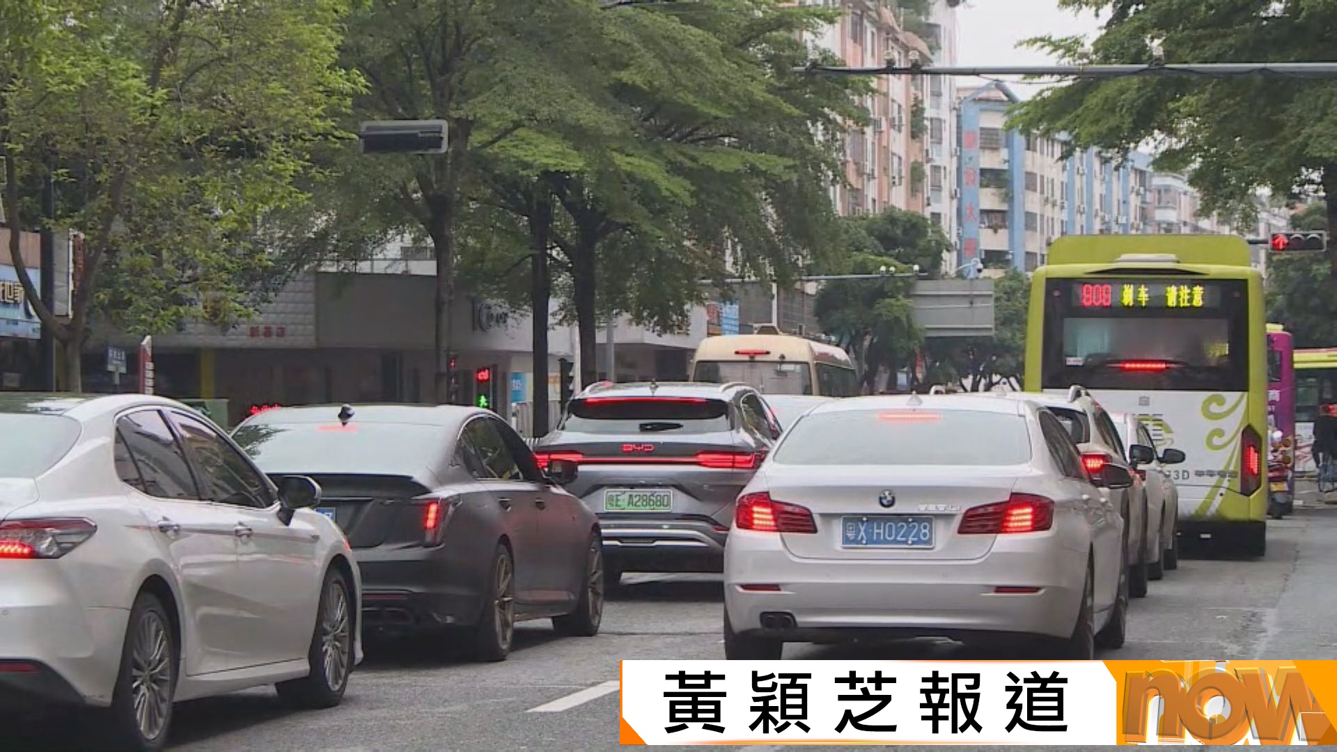 佛山車主期待來港遊覽　代辦公司收過百查詢