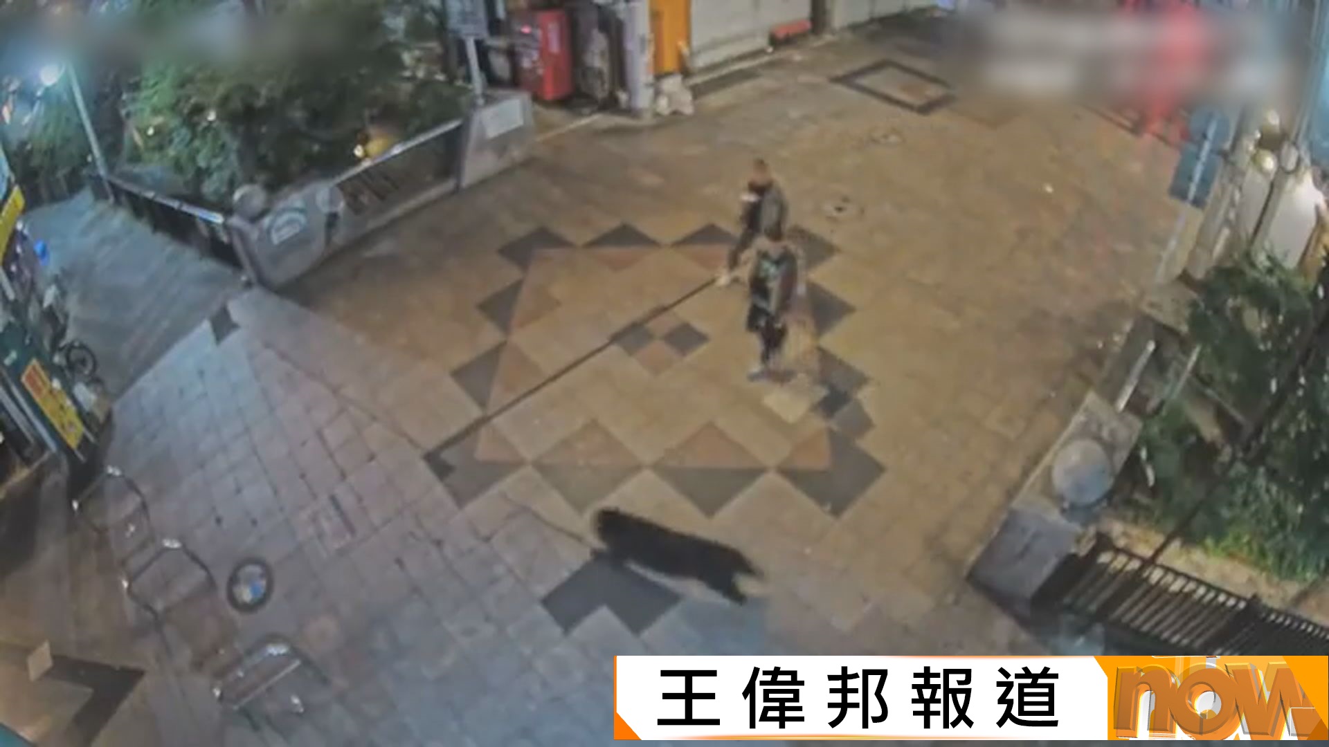 日本熊出沒｜宇都宮連日現熊蹤警方加強搜捕　大中小學緊急停課