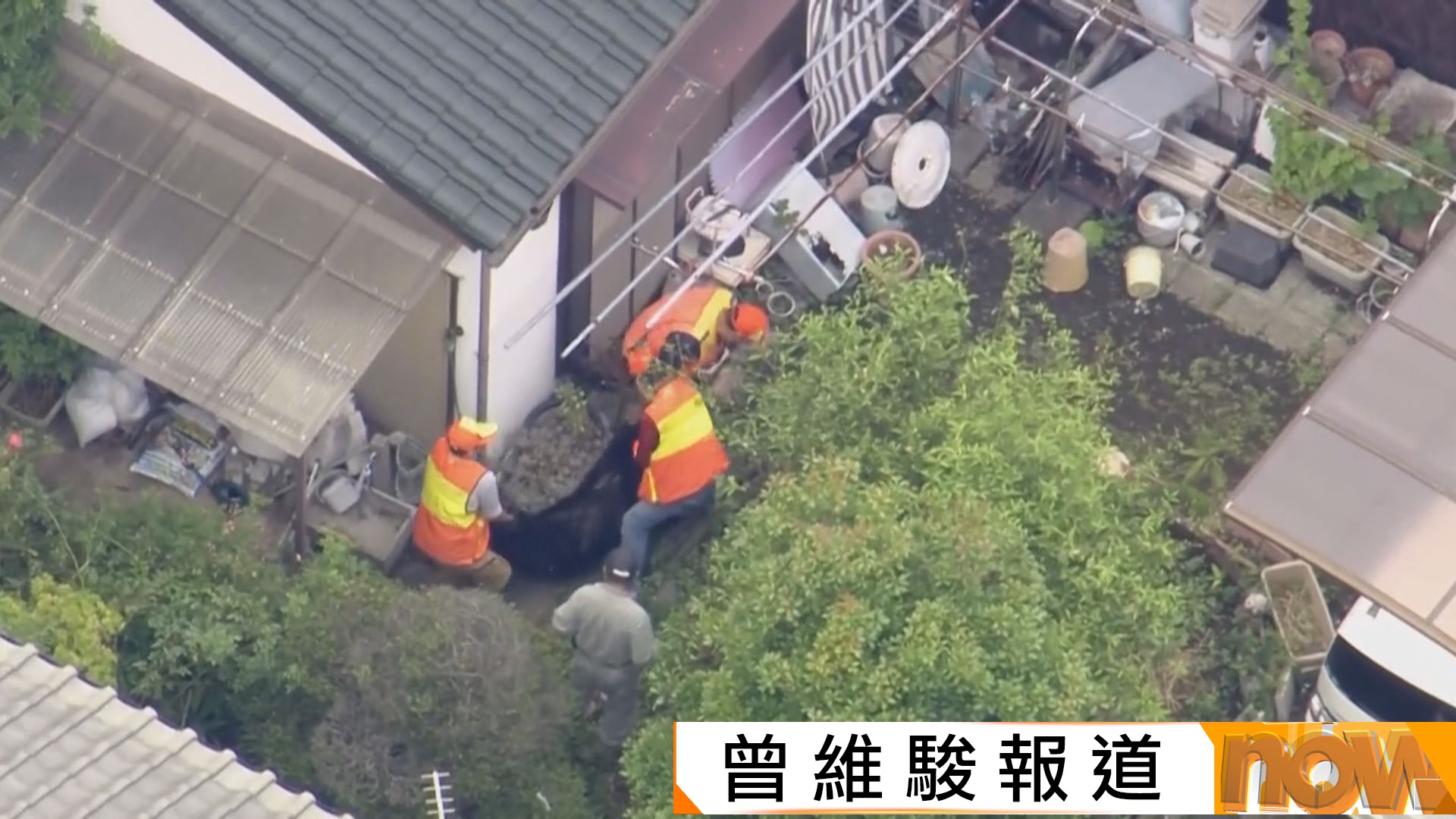 連日在日本宇都宮市出沒黑熊終被捕獲