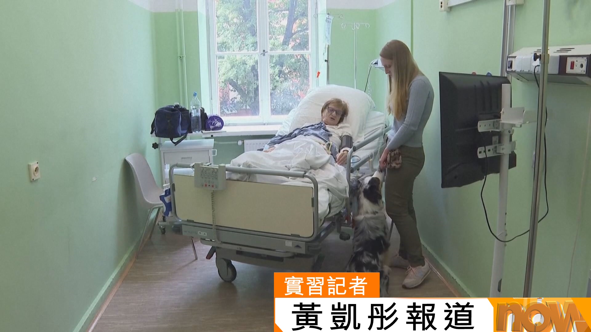 波蘭計劃立法讓臨終病人在寧養設施與寵物見面