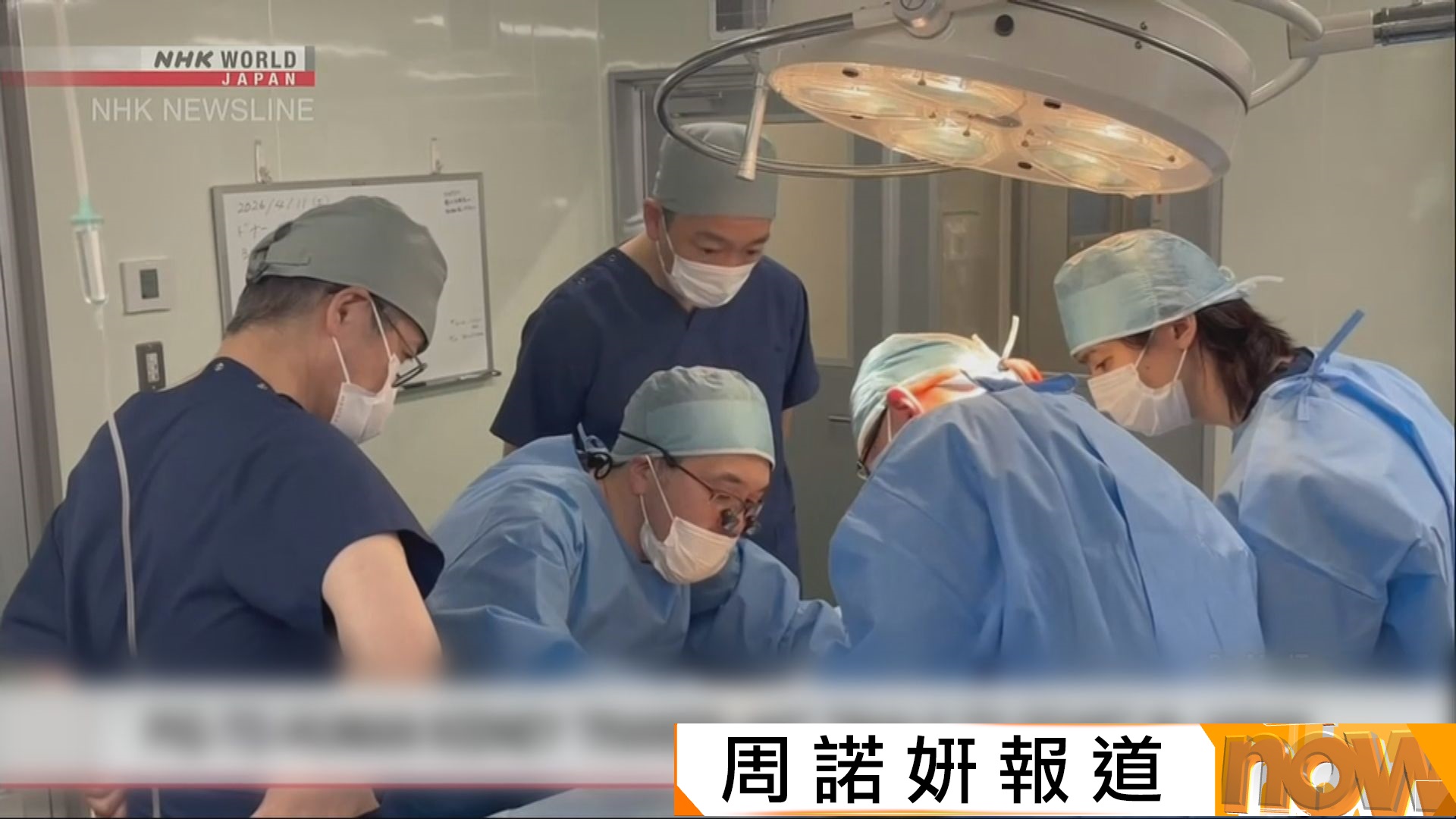 日本最快2028年進行國內首宗豬腎移植人體臨床試驗