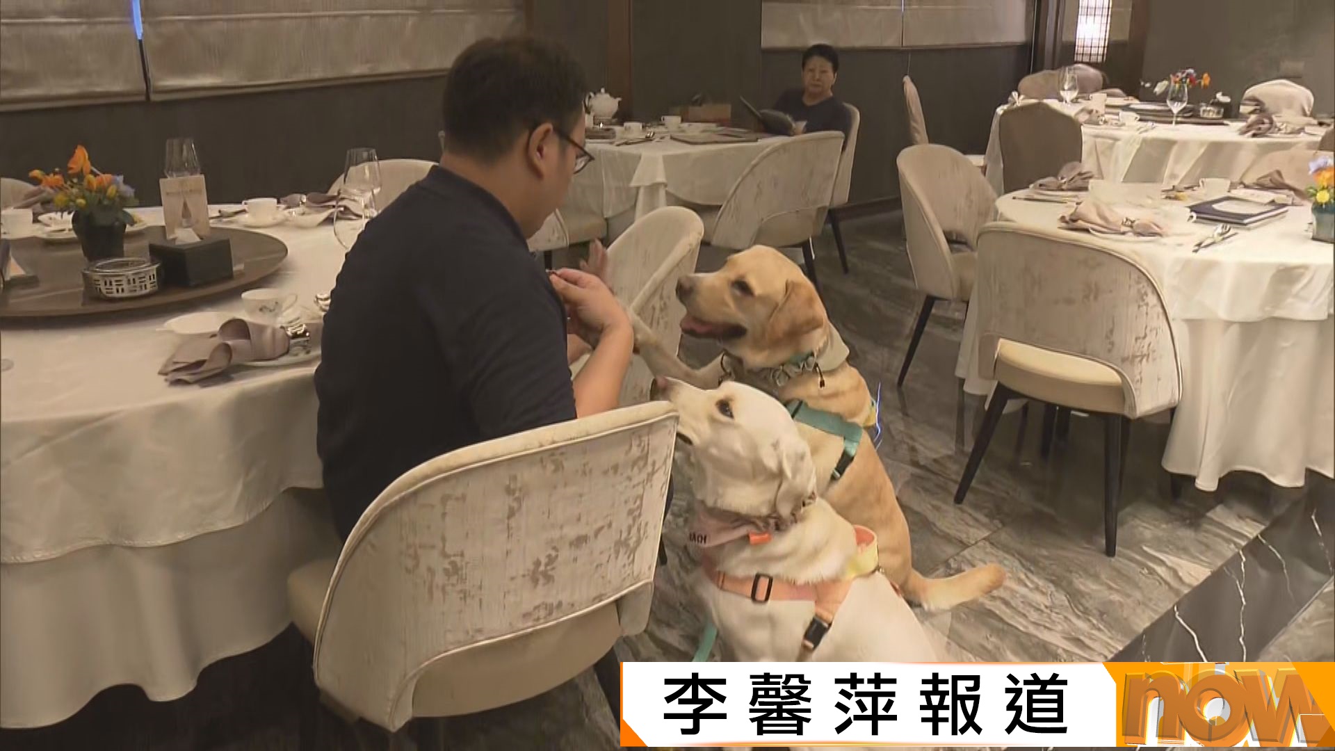 狗隻准入食肆　有餐廳相信可提升生意額