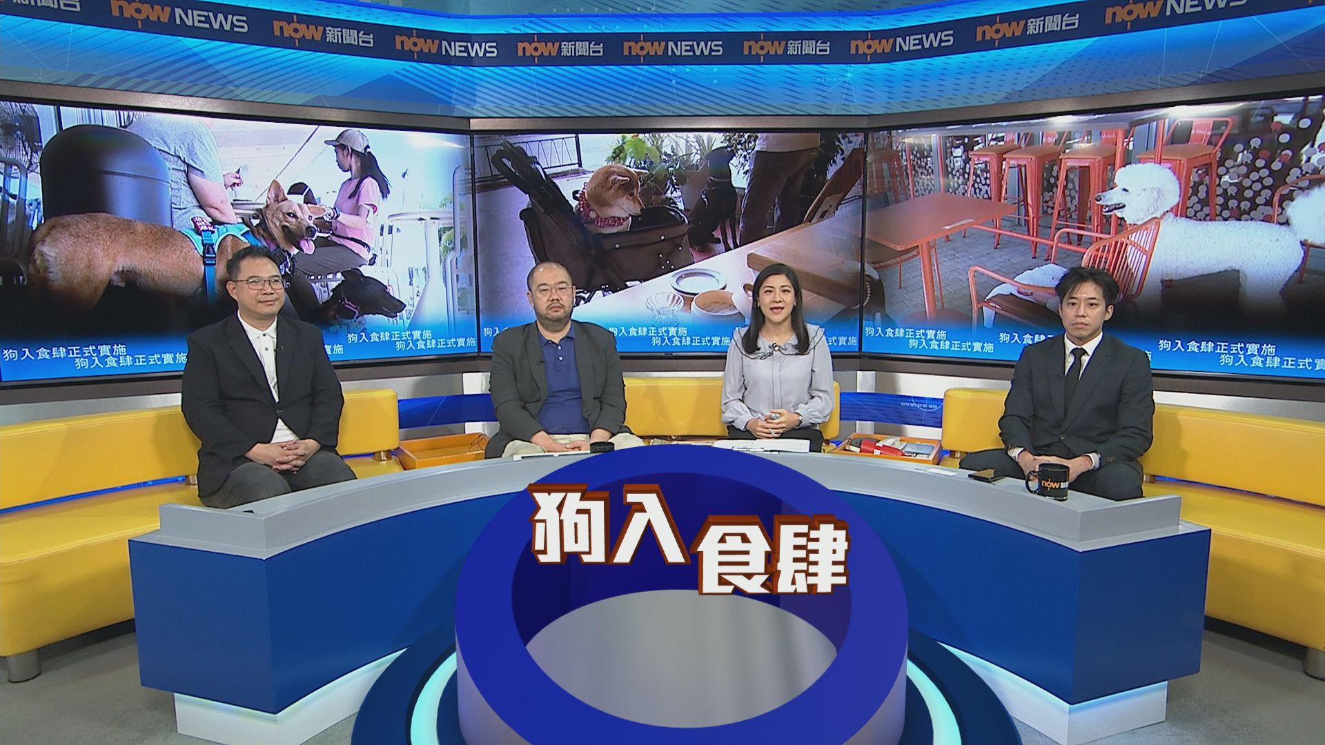 時事全方位｜狗入食肆正式實施(一)