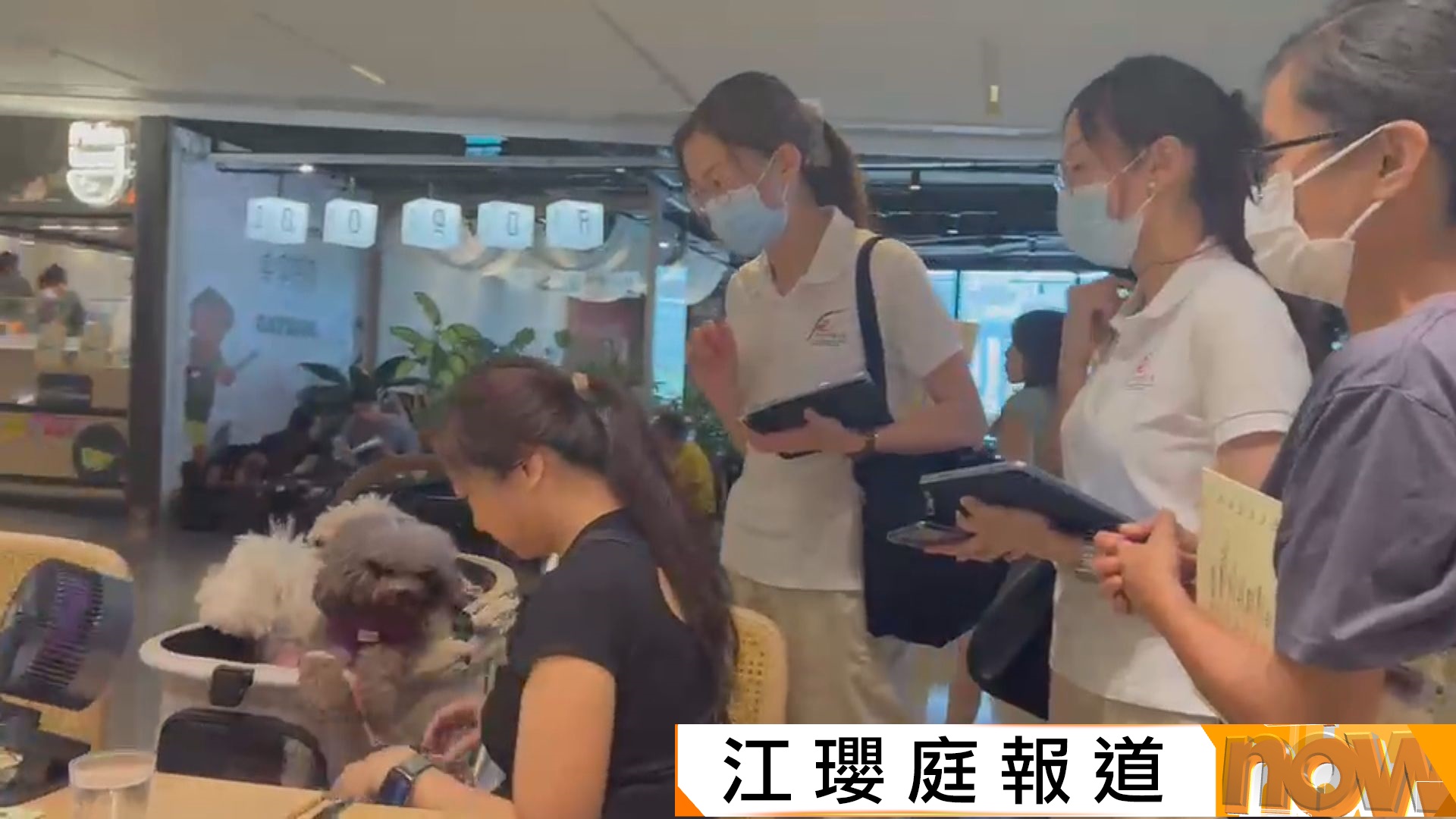 附查詢連結｜狗隻獲准入食肆首周末　食環專隊巡查促守規