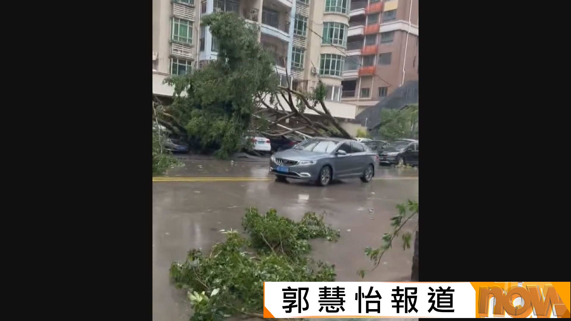 紅霞凌晨登陸廣東惠州　最大風力達14級