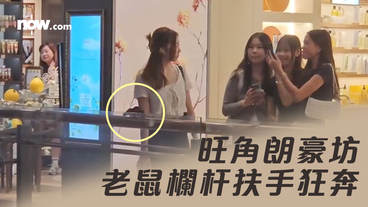 【有片】旺角朗豪坊驚現鼠蹤　老鼠欄杆扶手狂奔　途人圍觀拍片