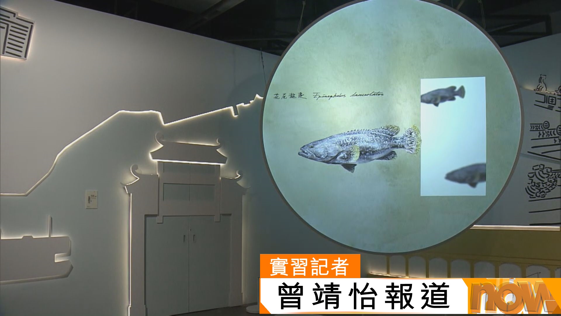 故宮文化博物館新展覽以紫禁城為靈感　當代香港都市為背景