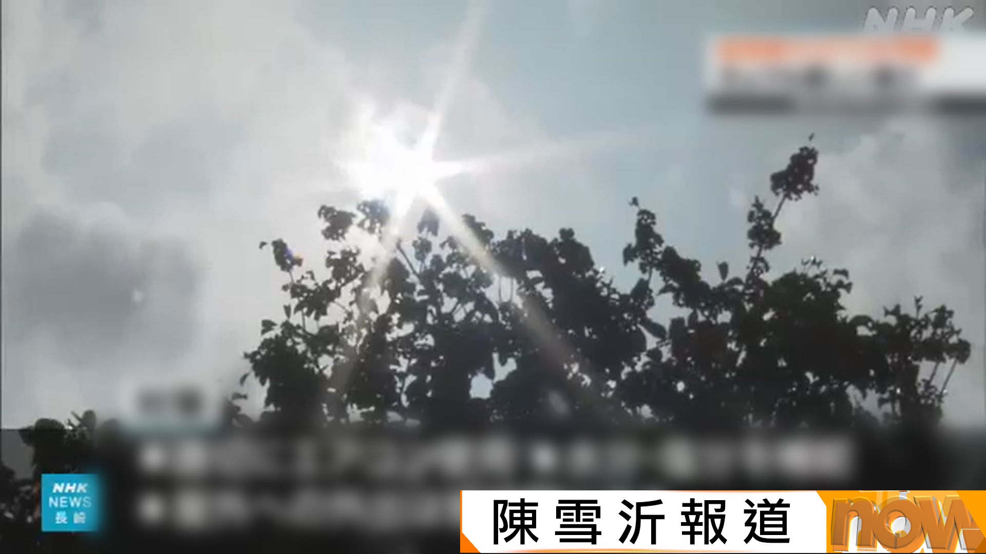 日韓酷暑｜李在明下令視作國家災難　東京動物園獅子疑中暑亡
