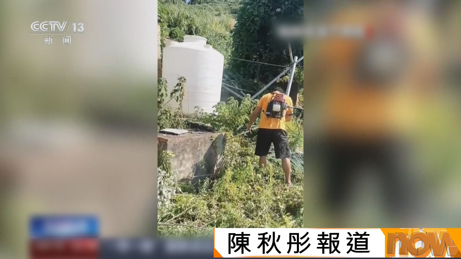 內地網紅改造荒島影片大受歡迎　涉違法侵佔被查處