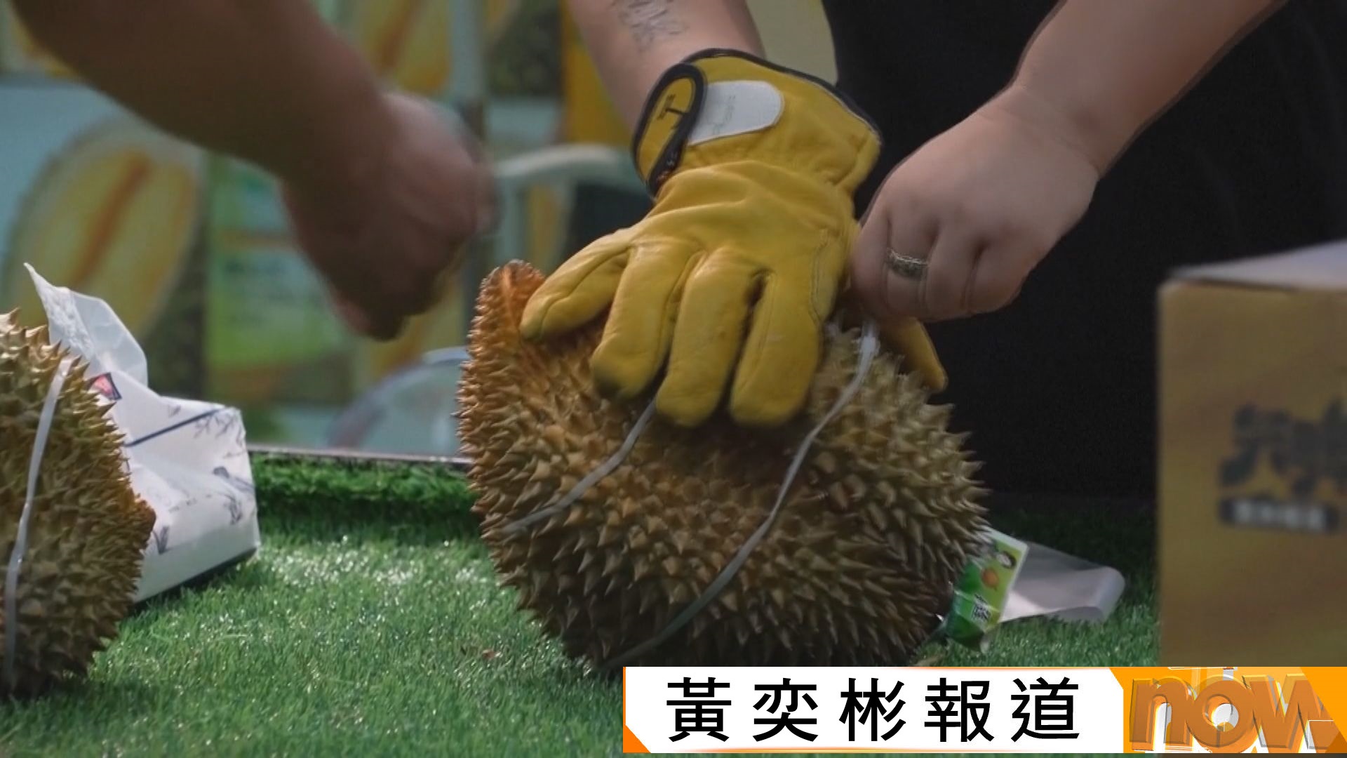 極端高溫令榴槤盛產但大劈價　馬來西亞果農面臨經營困難