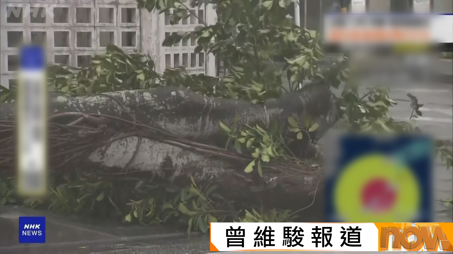 白海豚吹襲沖繩　約26萬人疏散