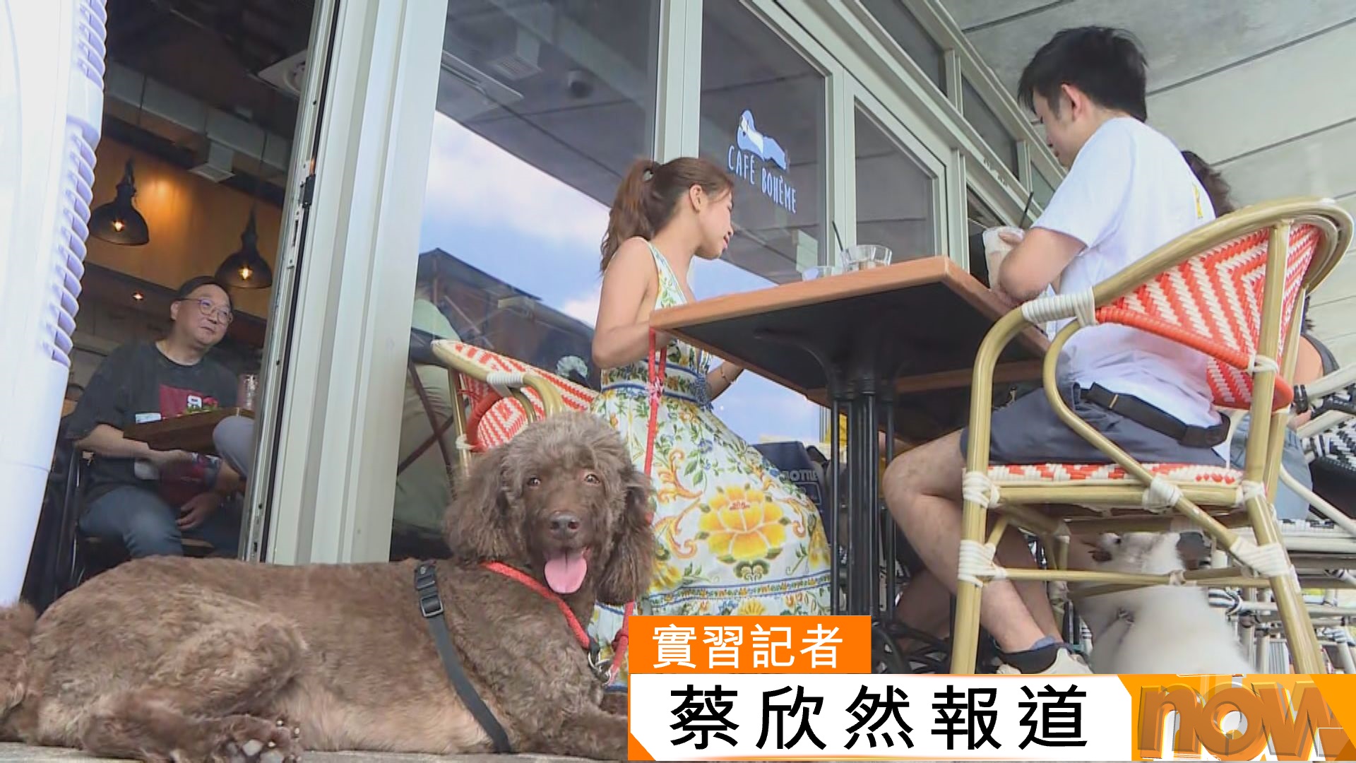 附查詢連結｜狗隻准入食肆一個月　狗主樂見餐廳數目增