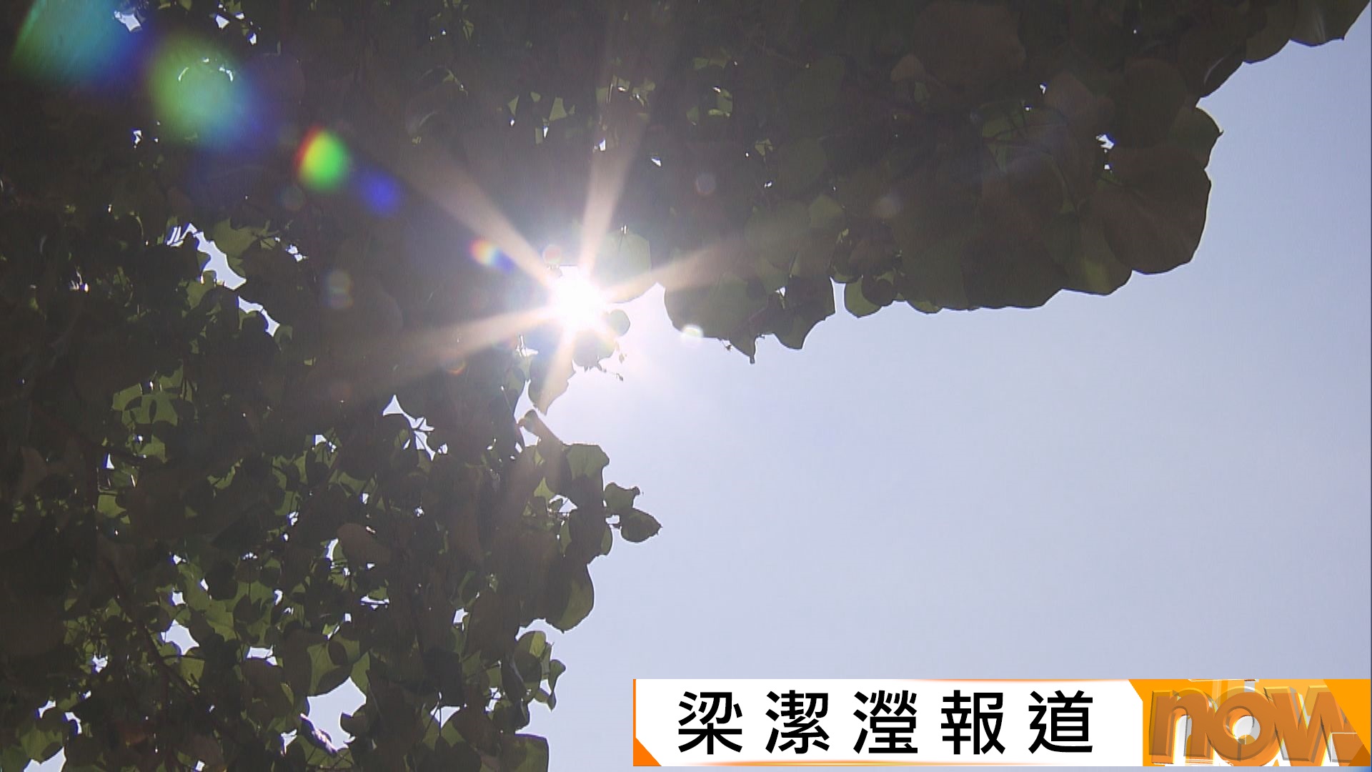 極端酷熱｜天文台料市區最高36度　新界再高一兩度