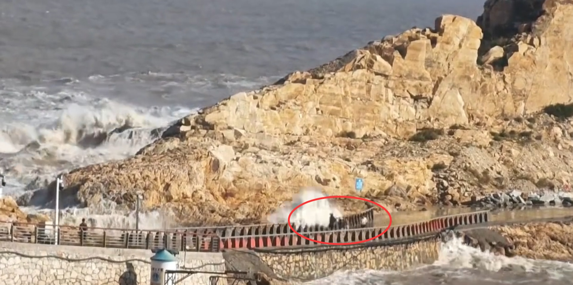 有片｜白海豚襲浙江掀巨浪　9歲童隨家人擅闖封鎖區海邊觀浪被捲走