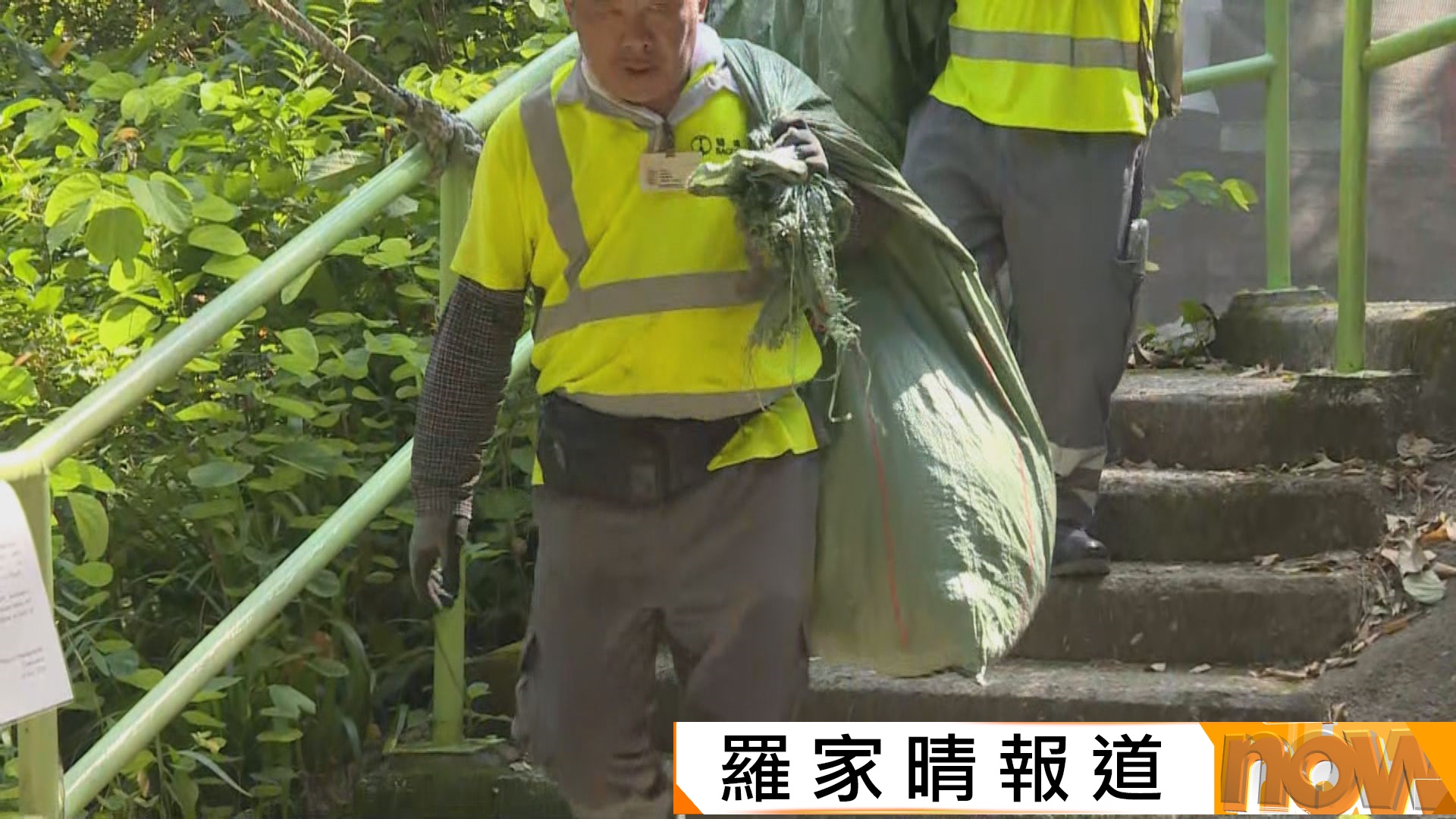 政府分階段清理主教山違法構築物