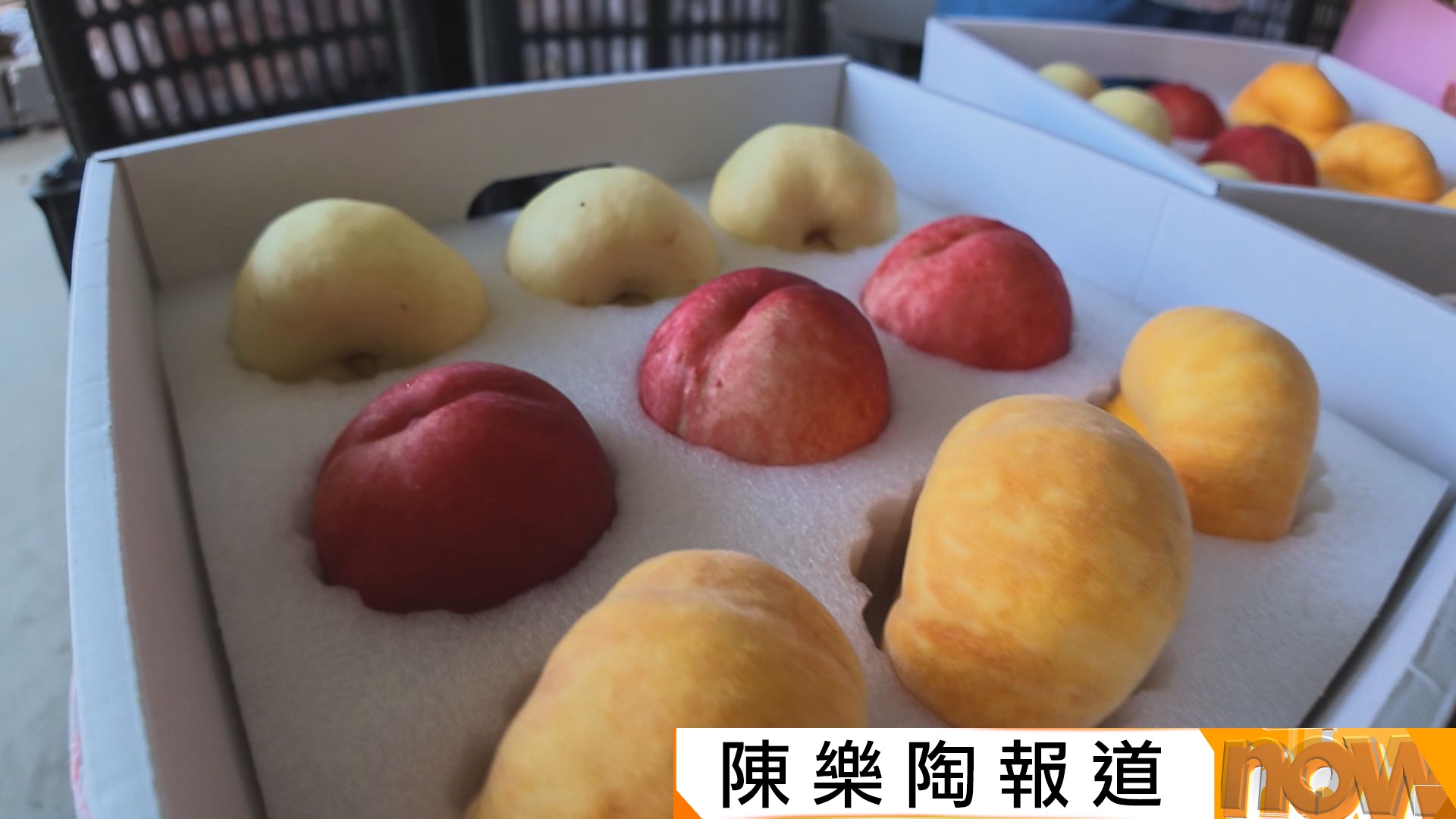 首都專線｜「中國桃鄉」平谷盛產大桃　擬進軍本港市場
