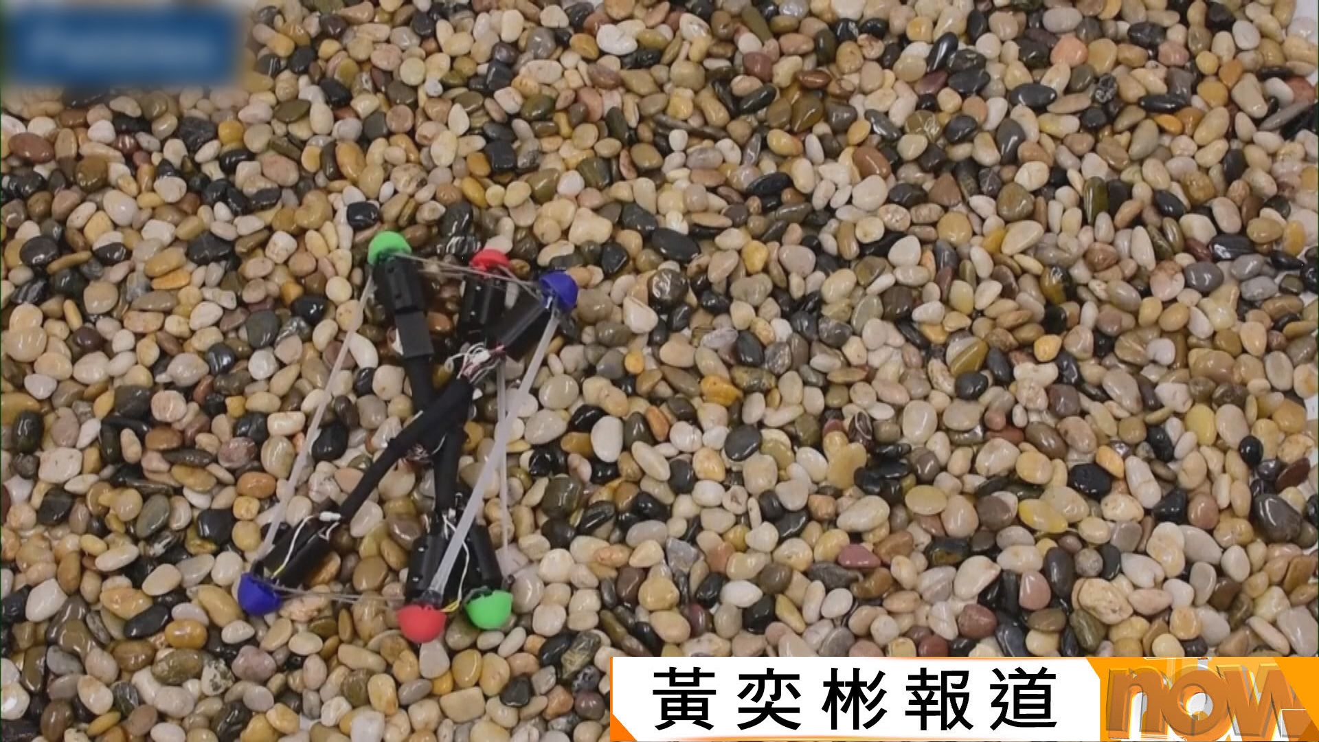 美國研發新型抗摔機械人　有望應用於災區救援或太空探測