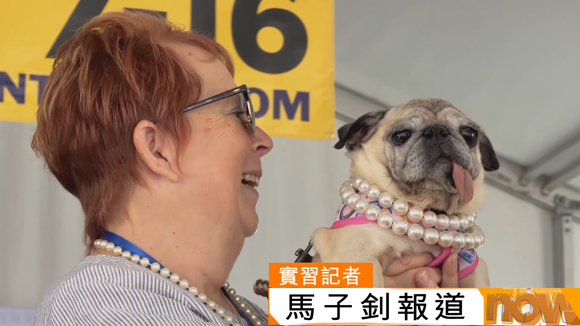 世界最醜狗狗選舉在加州舉行　於南韓被救的八哥勝出