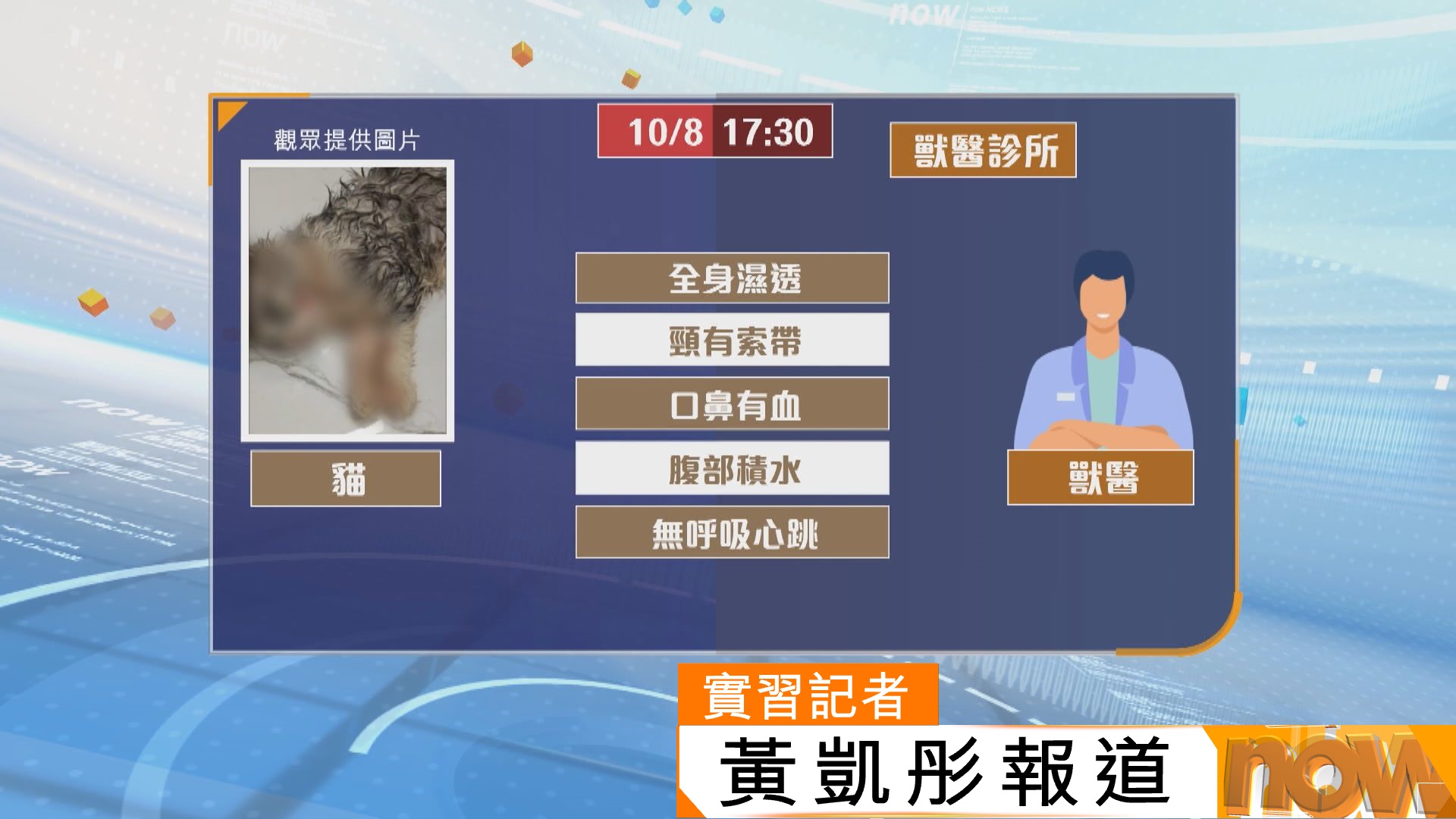 14歲普通話男涉殘酷對待貓隻被捕　獸醫：送來已無呼吸心跳　頸掛索帶口鼻有血