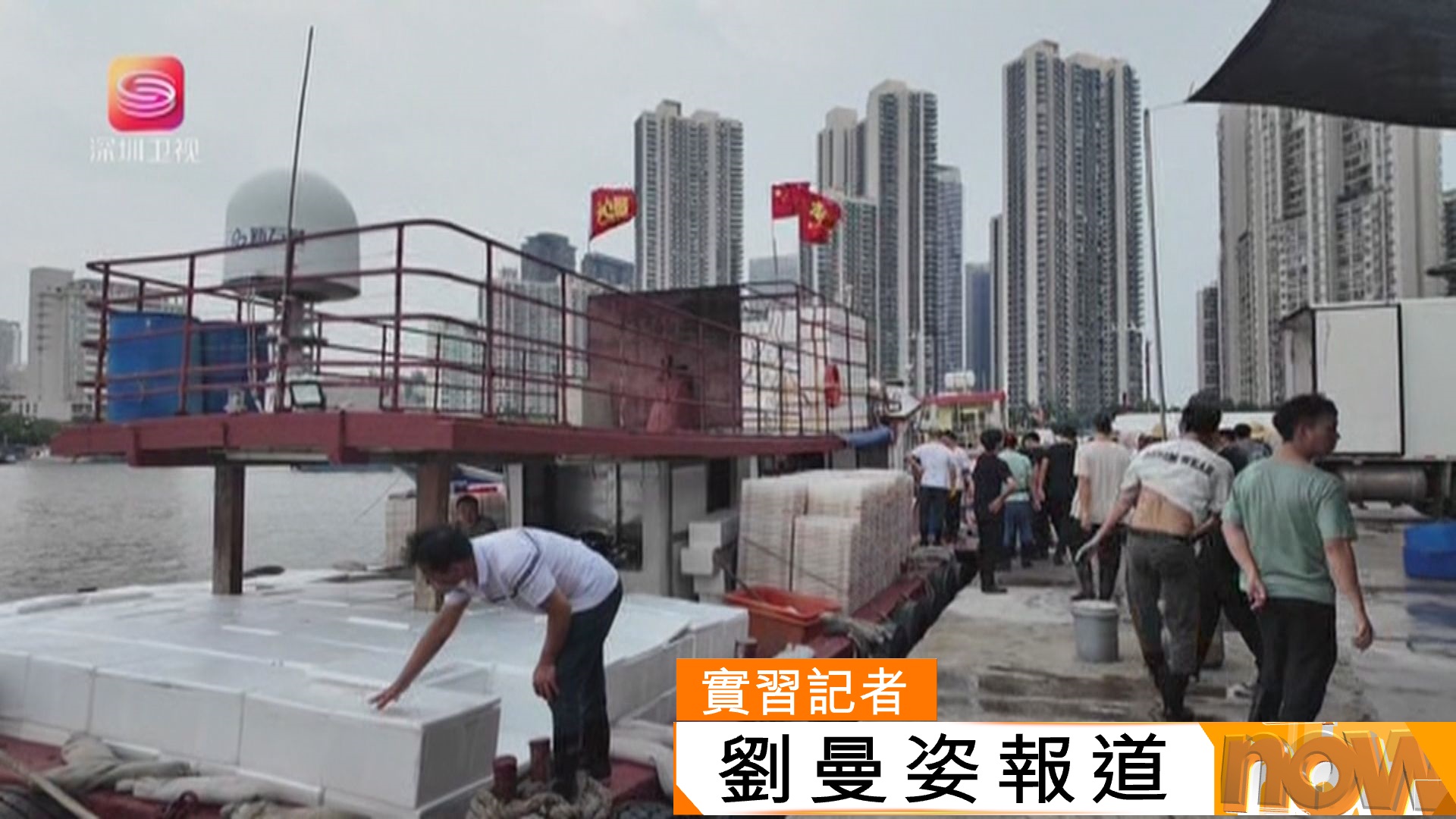 南海休漁期結束後　首批出海的漁船滿載而歸　魚王龍躉拍賣競爭激烈